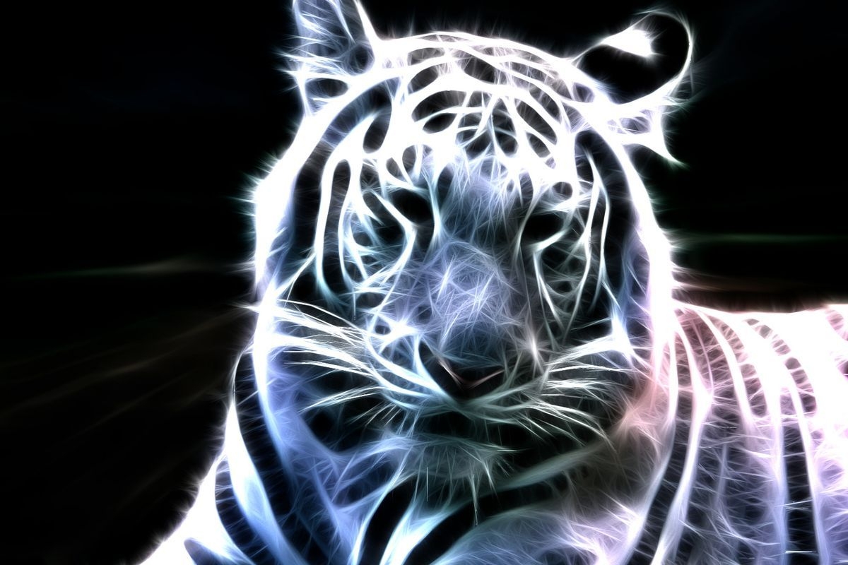 1200x800 Neon Animal Wallpaper, Desktop