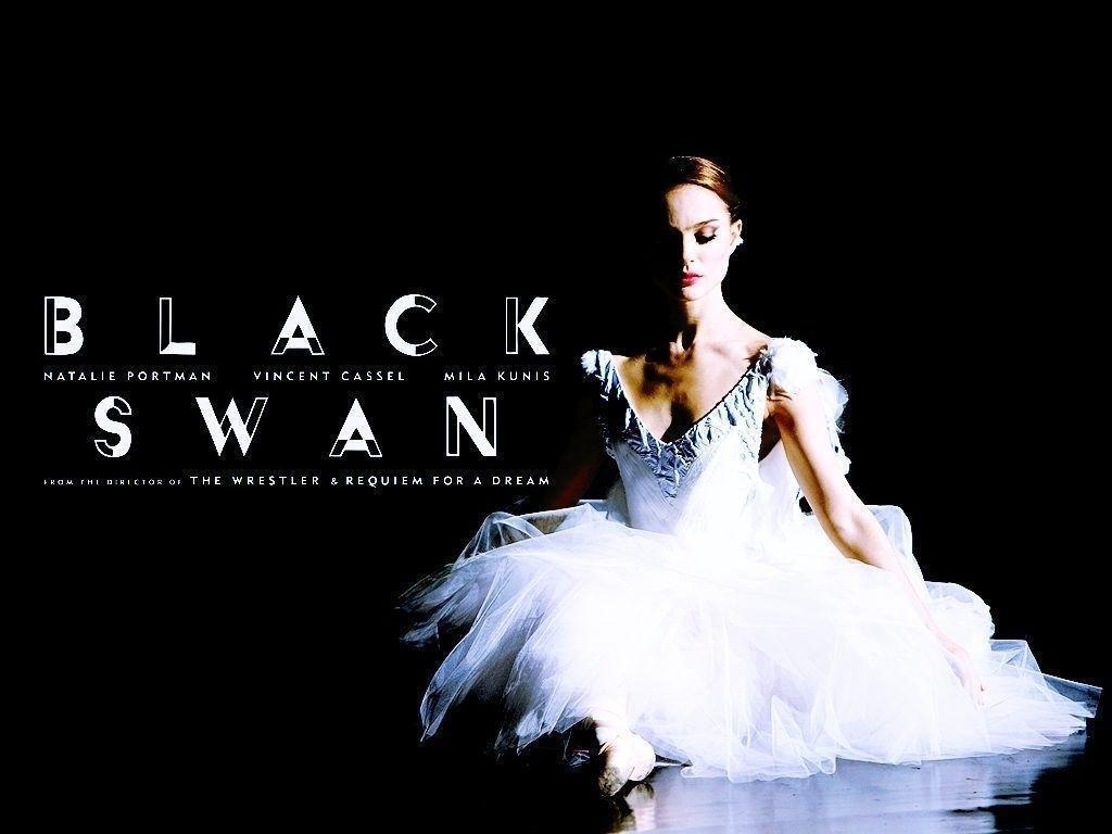 1030x770 Black Swan Wallpaper Swan Wallpaper, Desktop