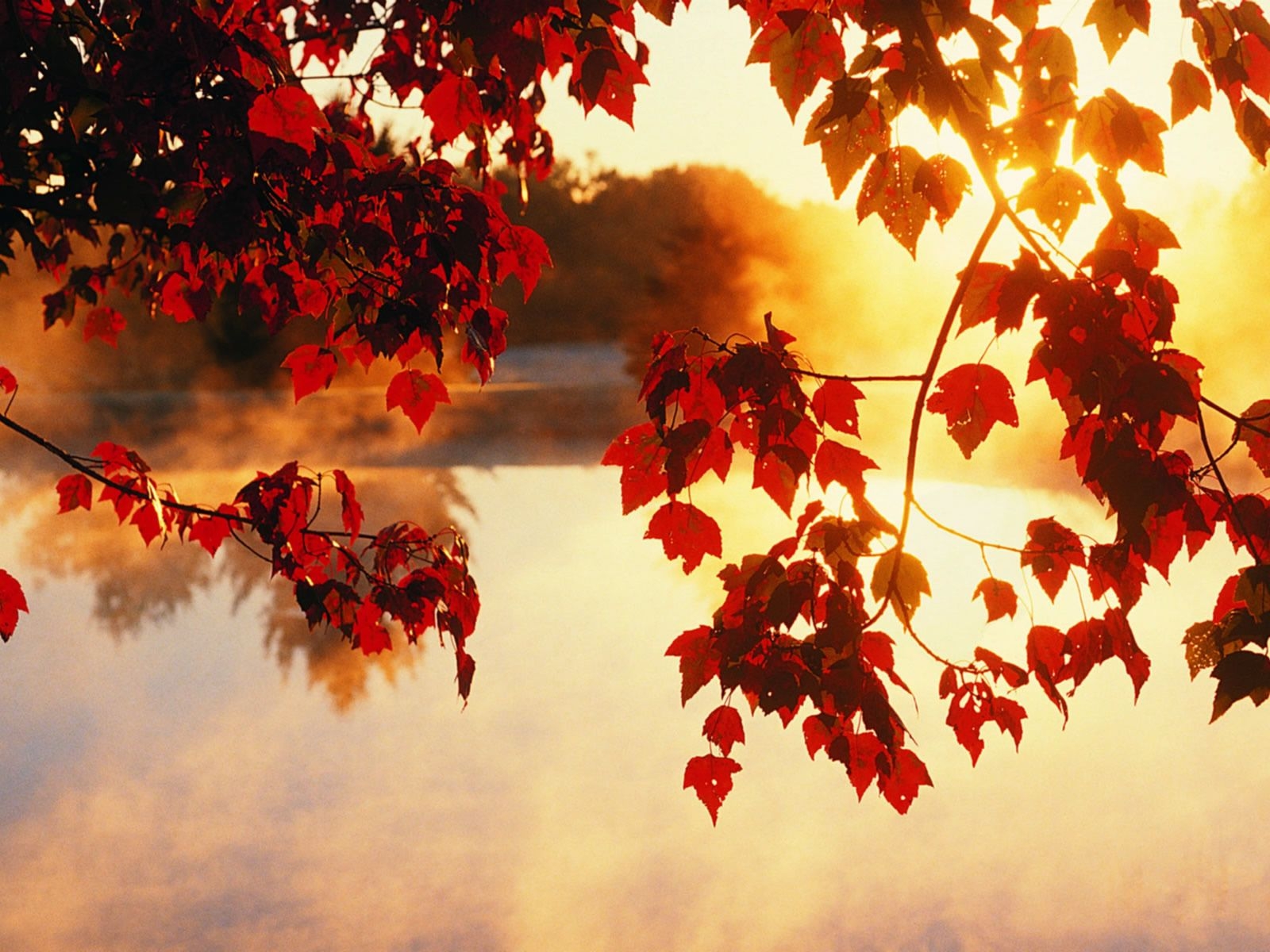 1600x1200 Autumn Laptop Wallpaper Free Autumn Laptop Background, Desktop