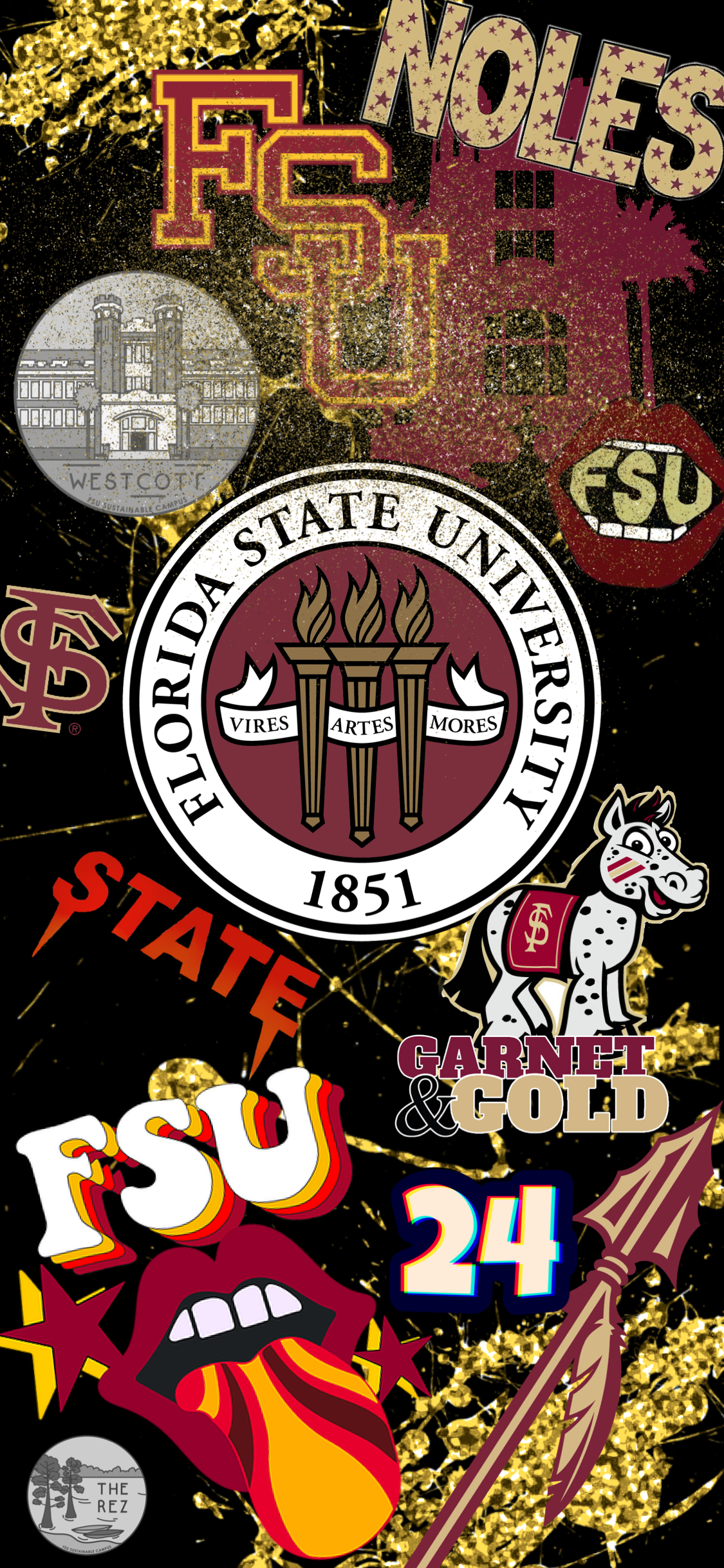 1130x2440 Florida State Seminoles, Phone