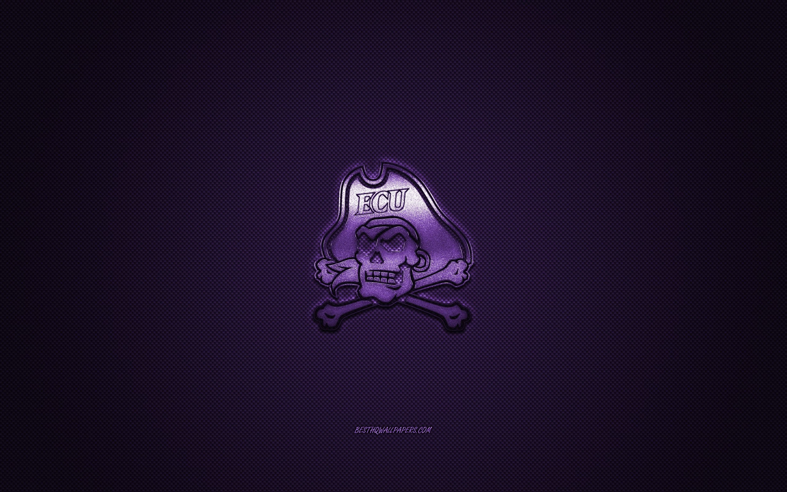 2560x1600 Download wallpaper East Carolina Pirates logo, American football club, NCAA, purple logo, purple carbon fiber background, American football, Greenville, North Carolina, USA, East Carolina Pirates, ECU Pirates for desktop with resolution, Desktop