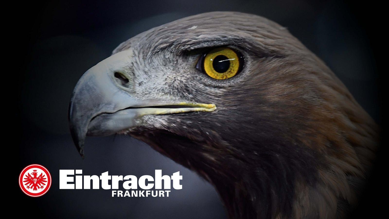 1600x900 Eintracht TV, Desktop