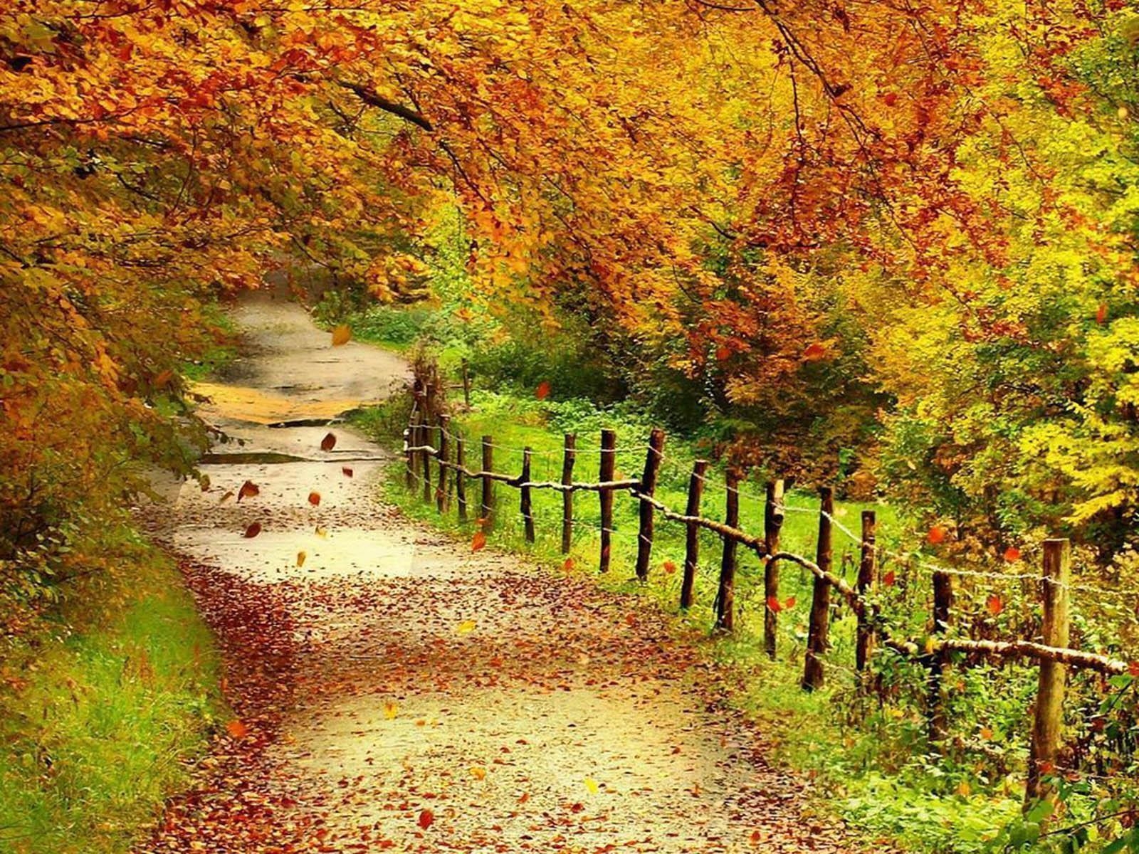 1600x1200 Autumn Scenery Wallpaper, Desktop