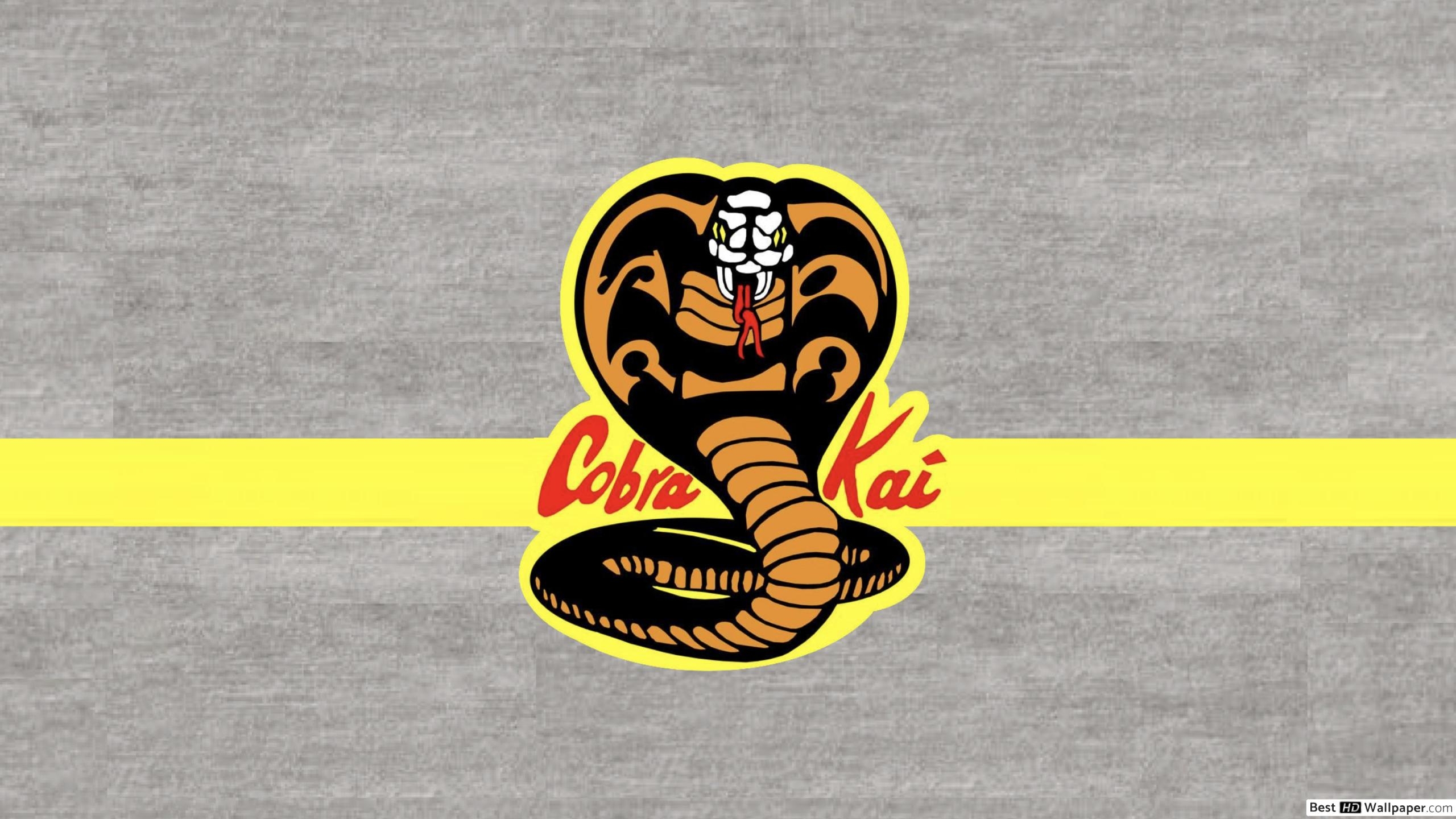 2560x1440 Cobra Kai Stone Background HD wallpaper download, Desktop