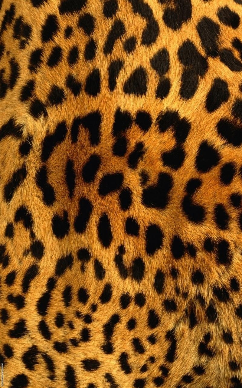 800x1280 Leopard Print iPhone Wallpaper Free Leopard Print iPhone Background, Phone