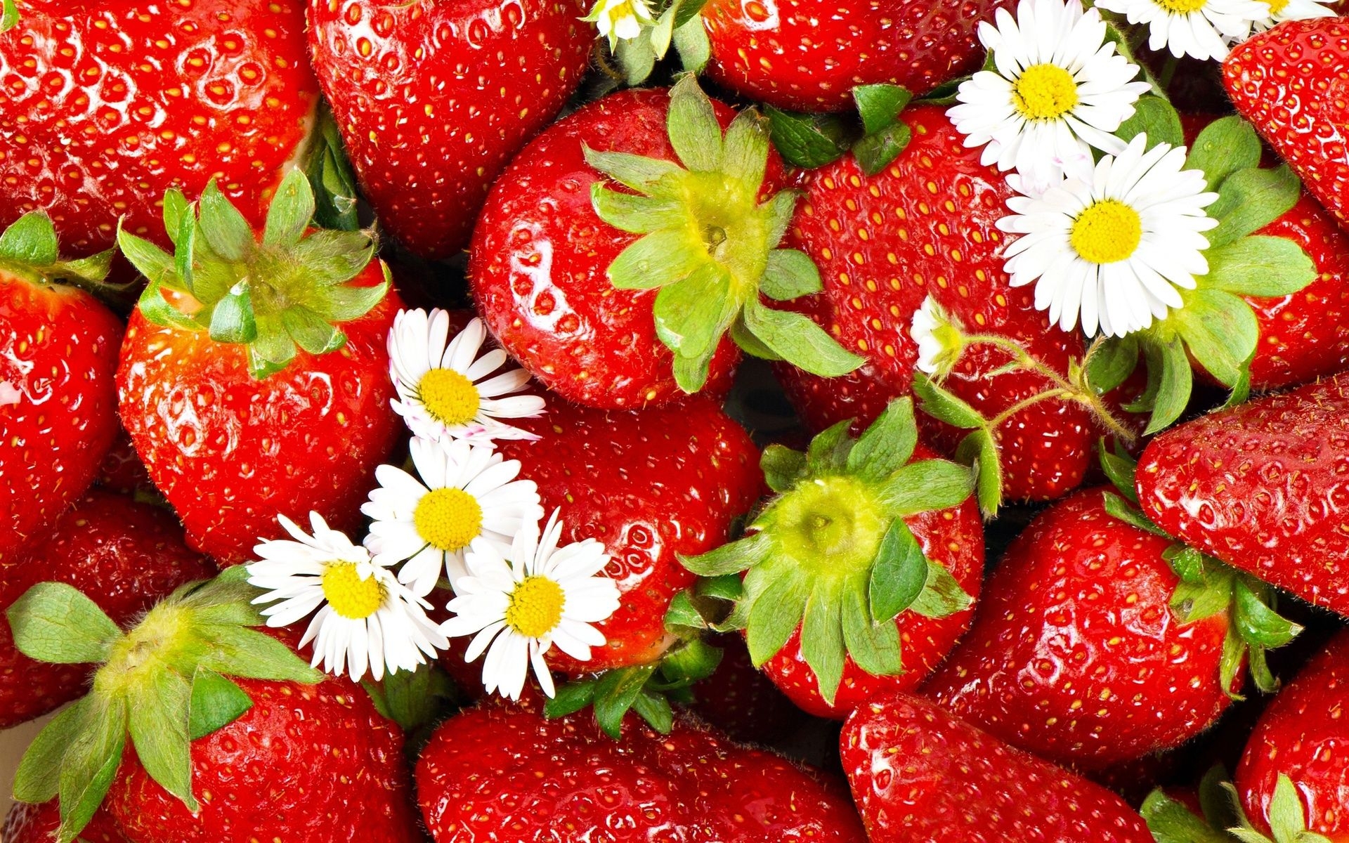 1920x1200 Strawberry Wallpaper. Strawberry, Desktop