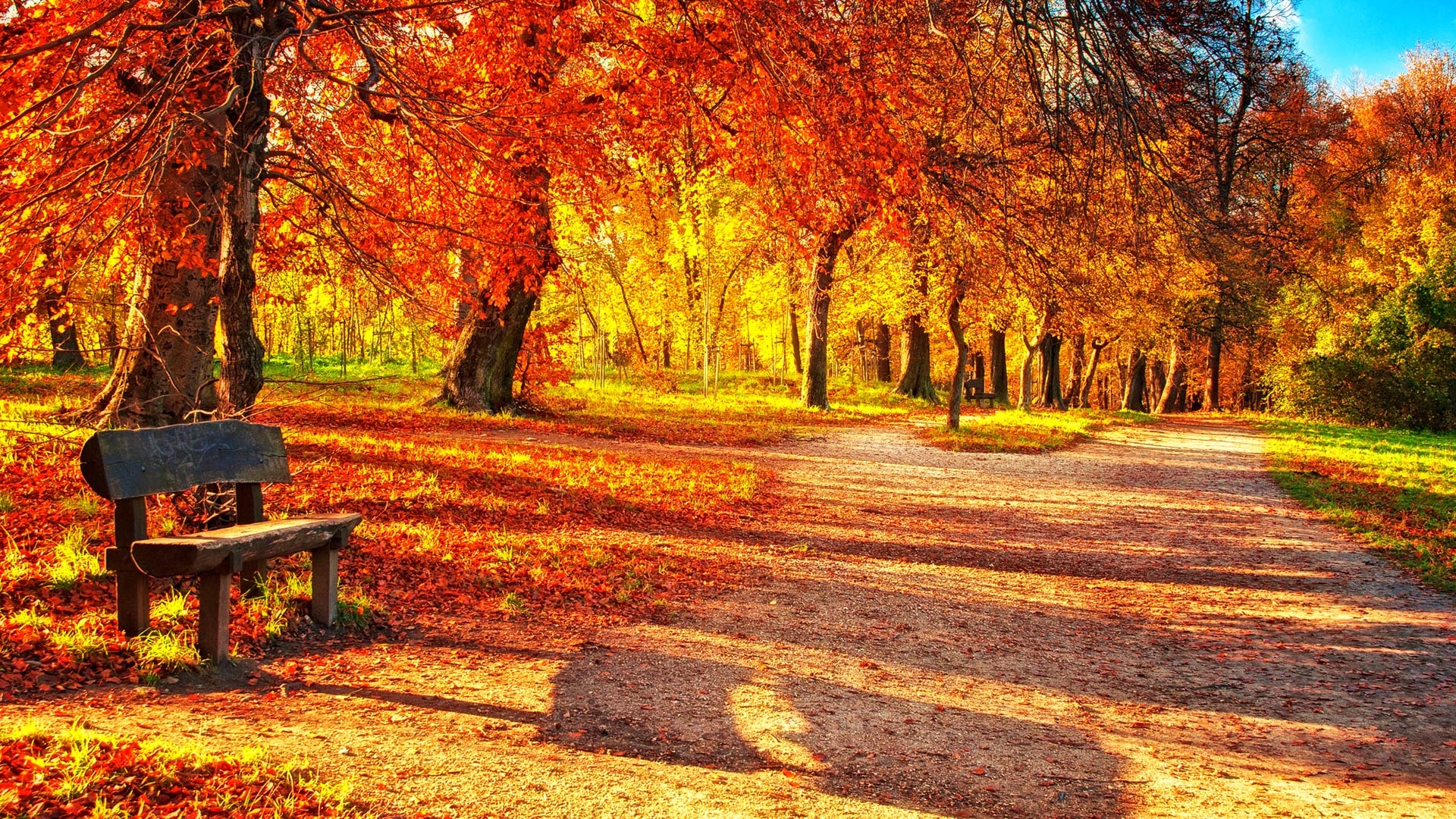 1920x1080 Autumn Wallpaper Download, Desktop