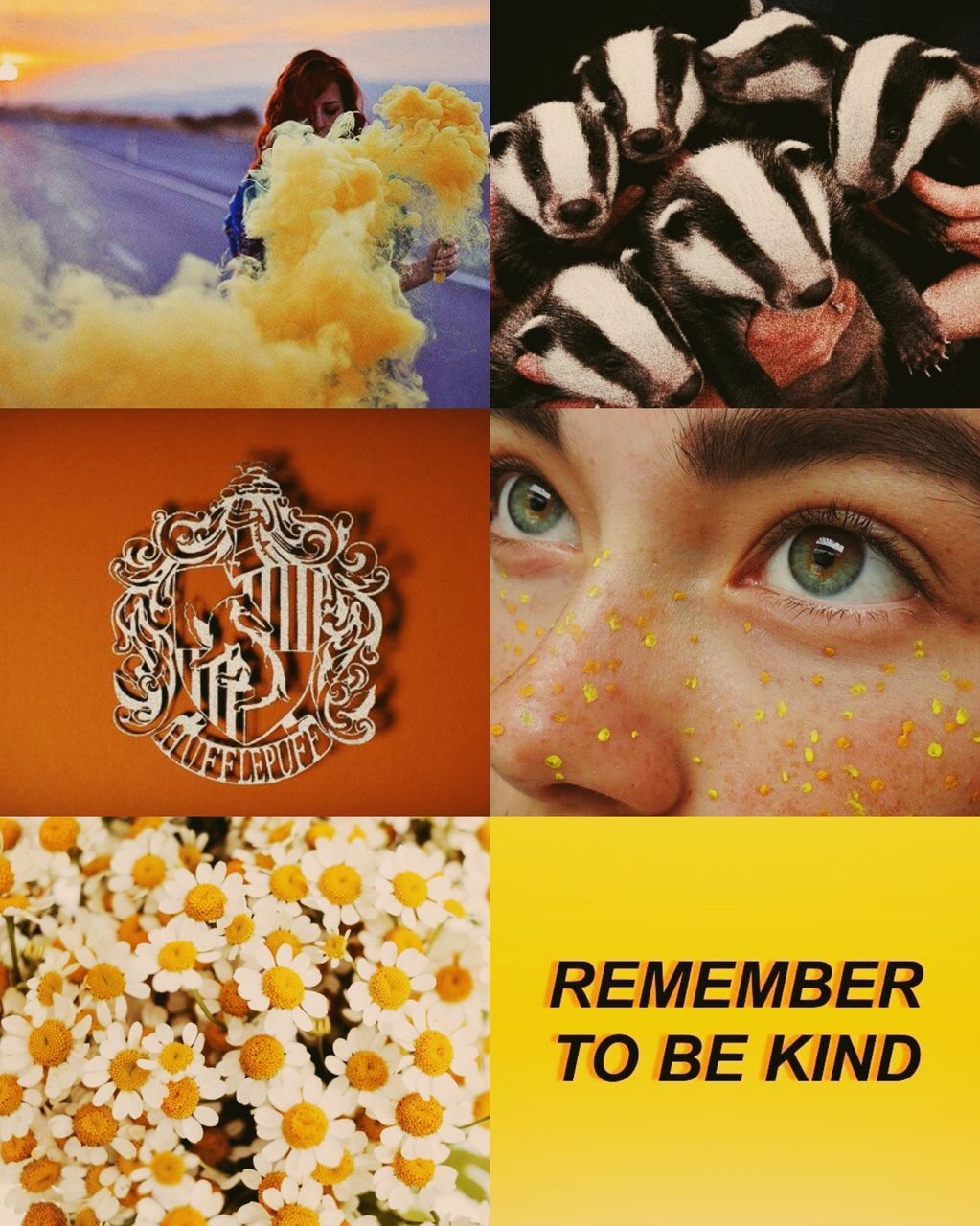 1030x1280 badger, hufflepuff, background and pride, Phone