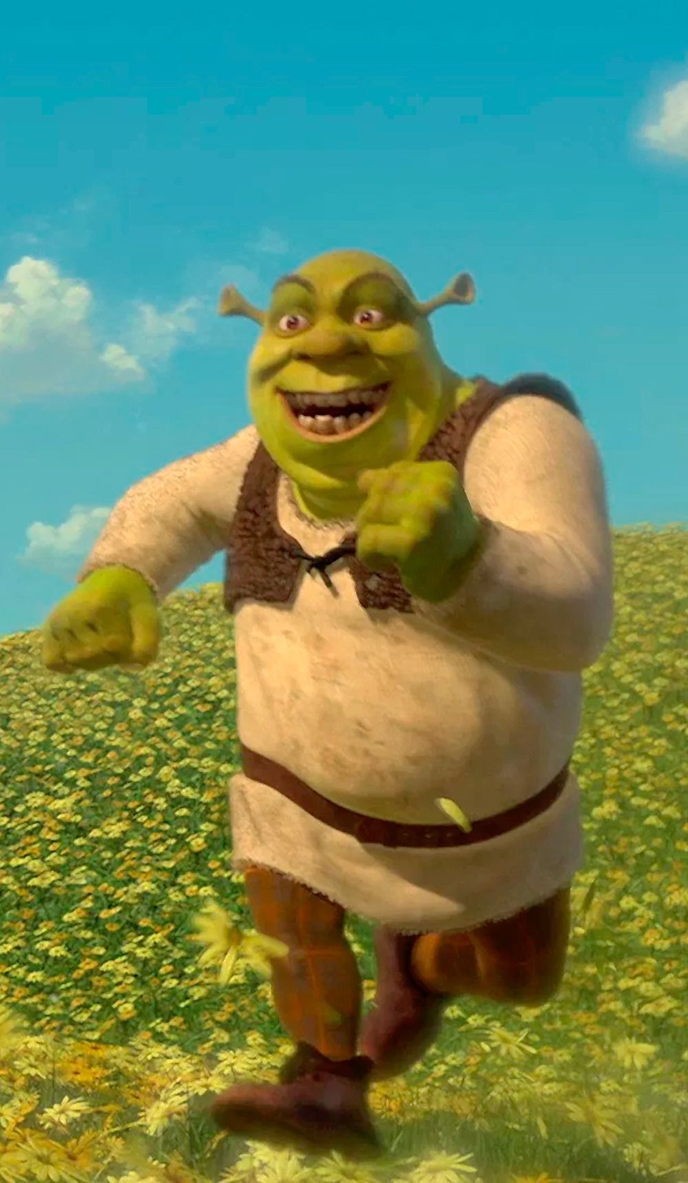 1000x1720 MEMS SHREKS. Cartoon, Shrek, Shrek memes, Phone