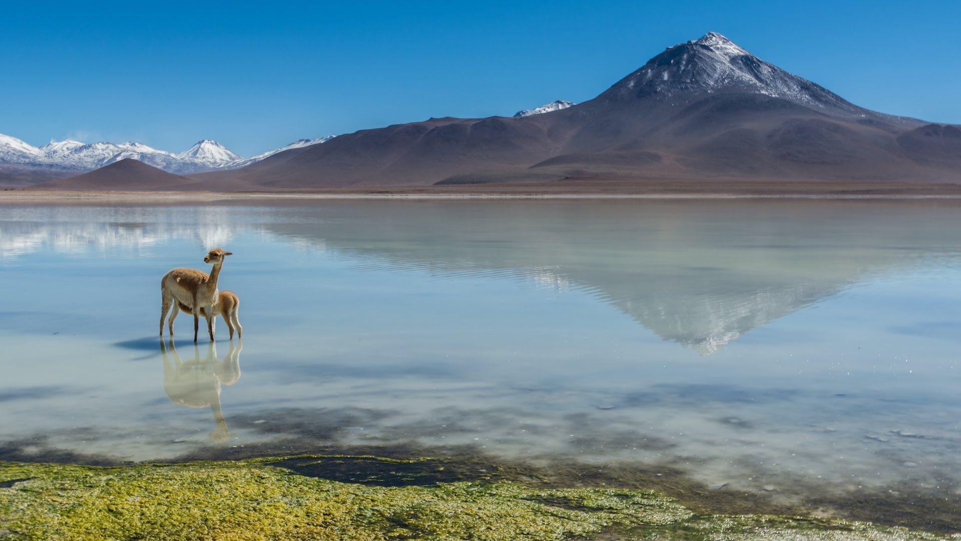 1920x1080 Atacama Desert Chile Salt Flats. Finding Uyuni road trip, Desktop