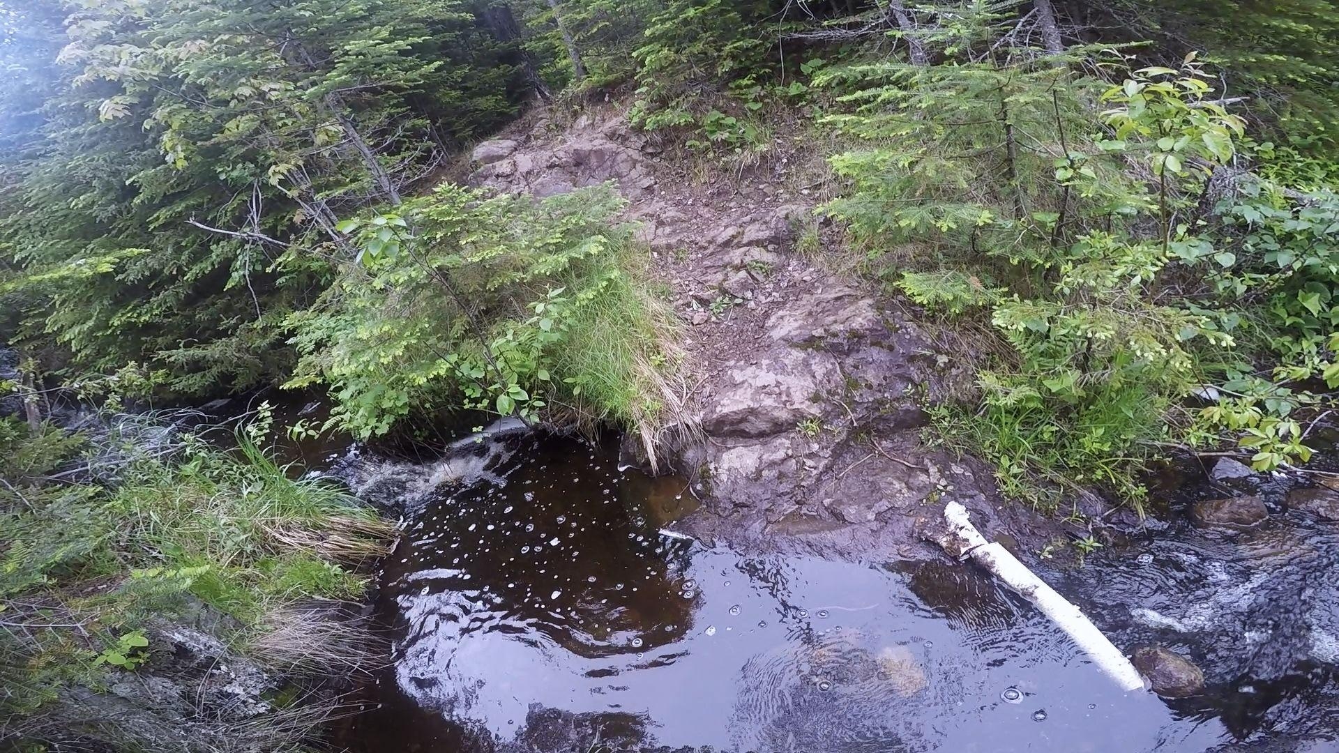 1920x1080 Isle Royale National Park June 2015, Desktop