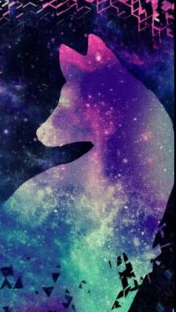 720x1280 Galaxy fox wallpaper, Phone