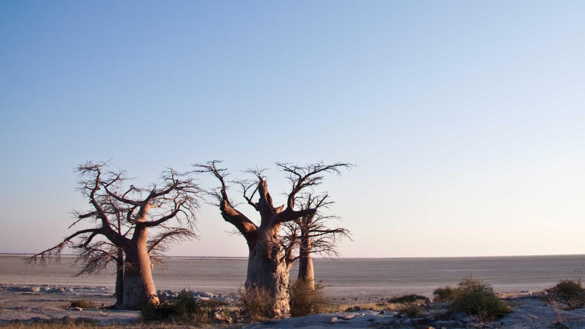 1920x1080 Makgadikgadi Pans Holidays. Book For 2019 2020 With Our, Desktop