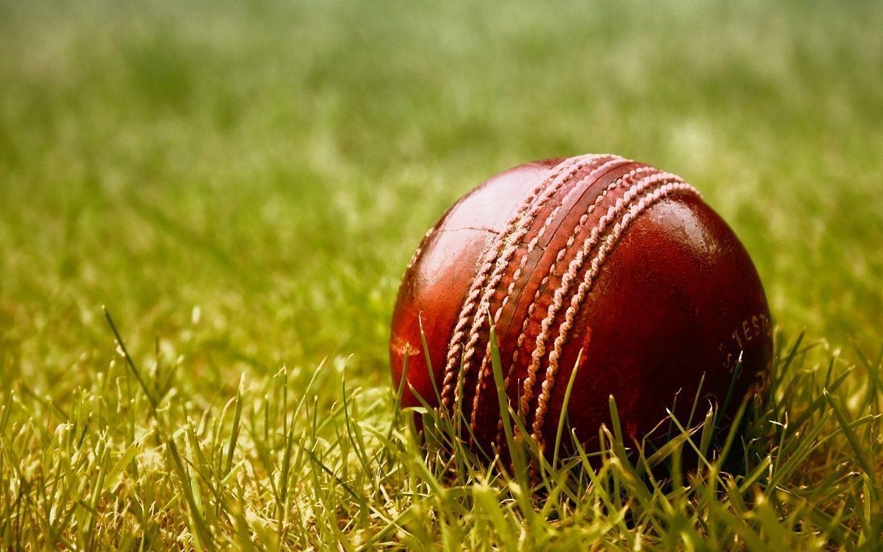 1280x800 Cricket Wallpaper For iPhone New Cricket Wallpaper For iPhonefor iPhone Wallpaper inHQ. You can find other. Cricket wallpaper, Live cricket, Cricket, Desktop