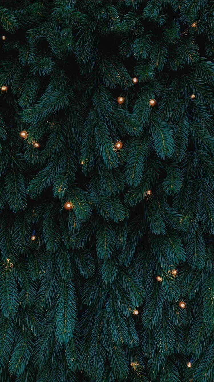 750x1340 green Christmas tree with lights iPhone 8 Wallpaper Free Download, Phone