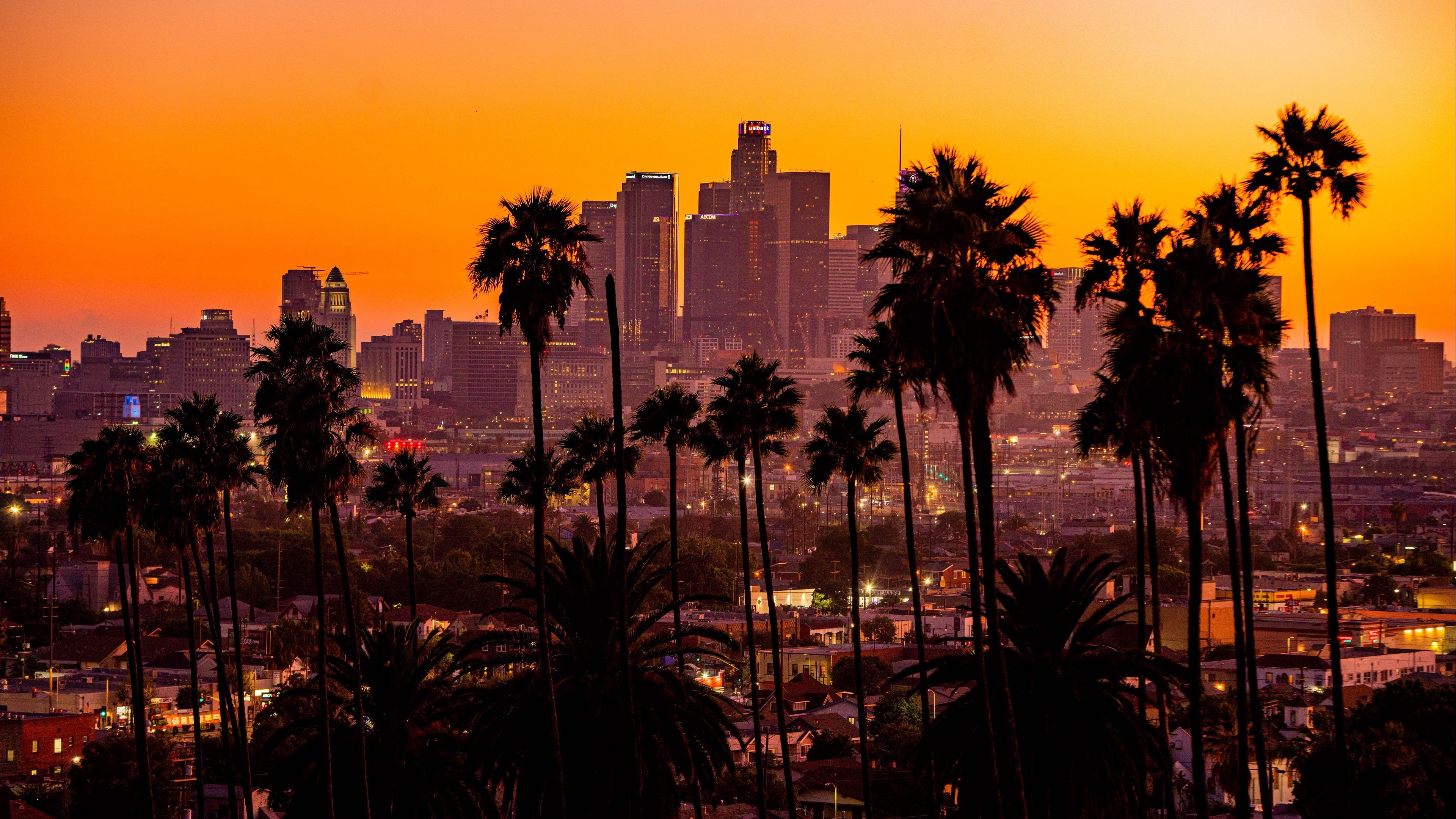 3840x2160 Download wallpaper  city, palm trees, sunset, buildings, Desktop