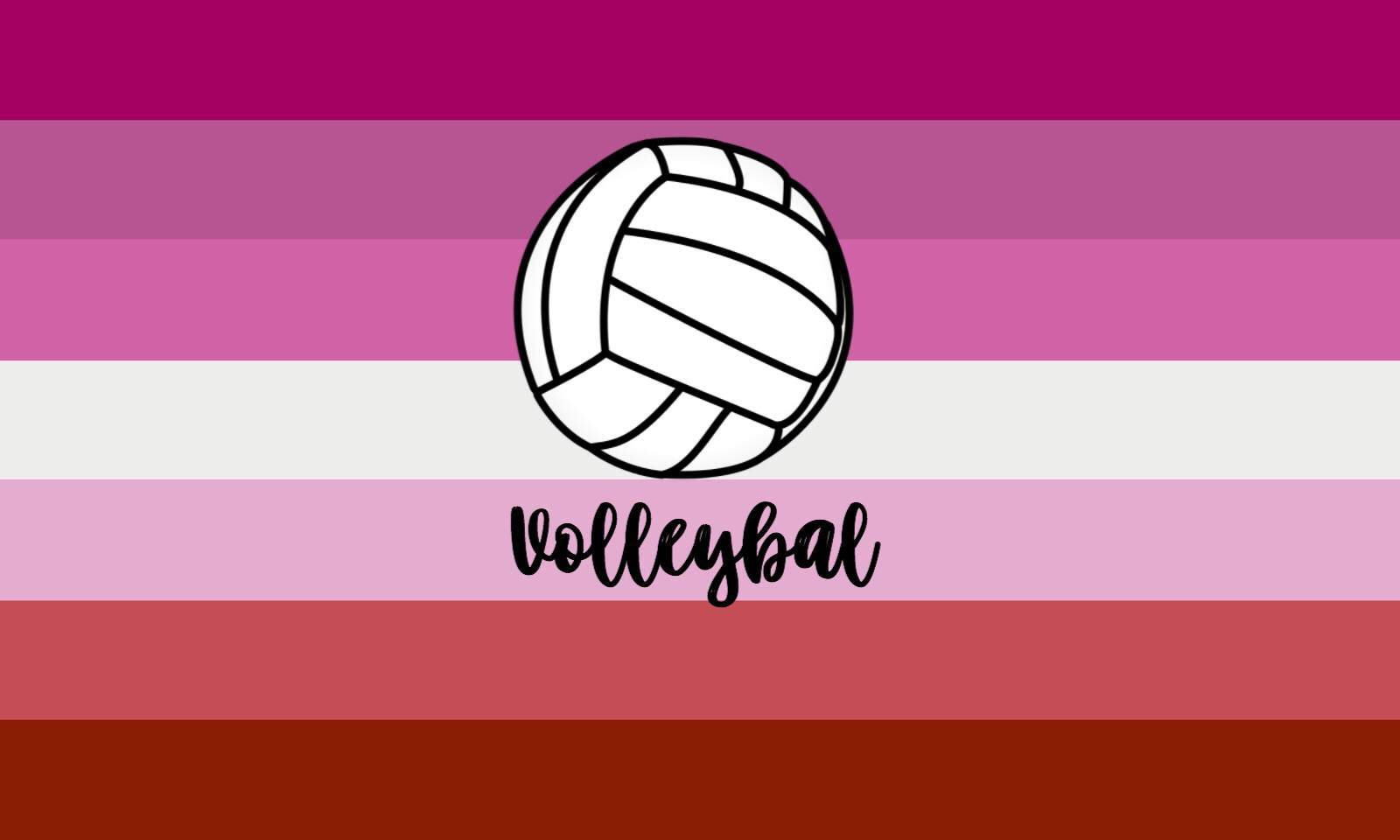 1600x960 Download free Volleyball With Lesbian, Desktop