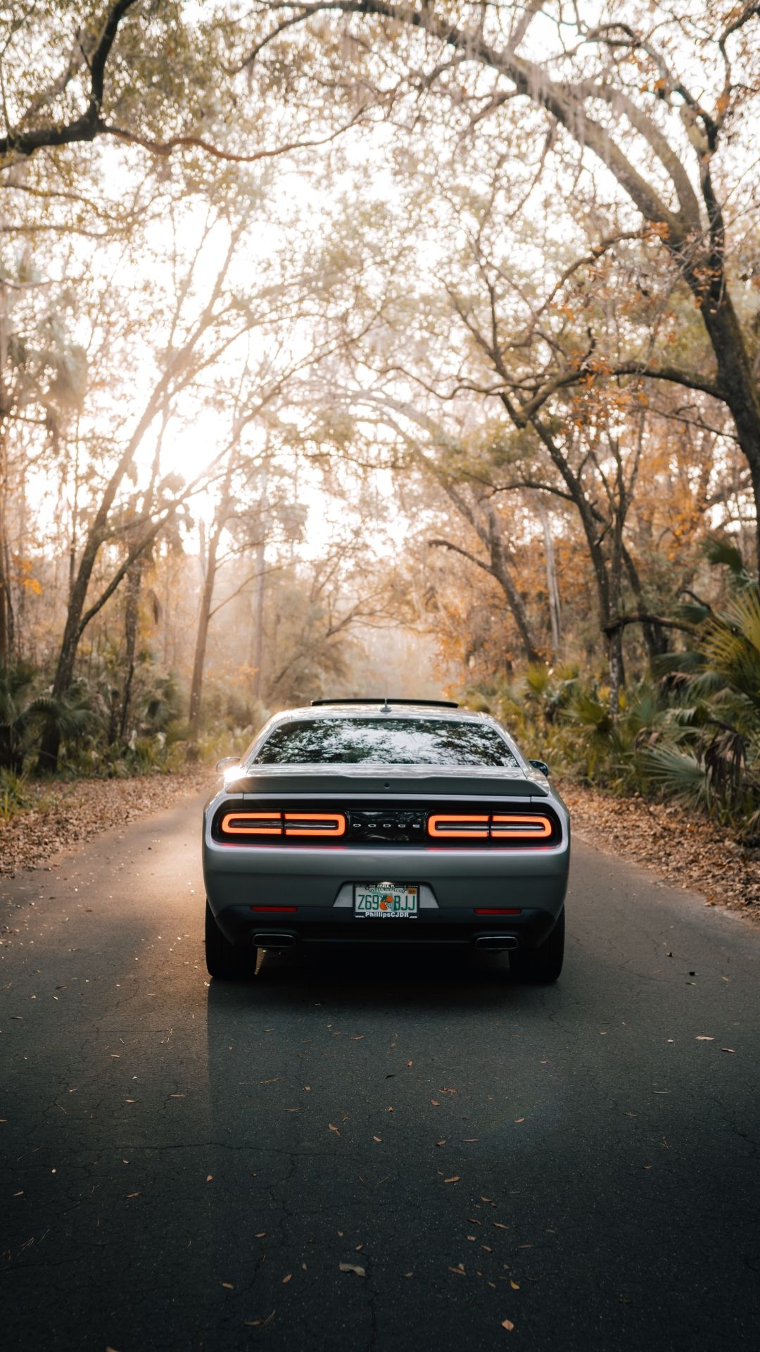 1080x1920 Dodge Challenger Wallpaper Dodge Challenger Background Download, Phone