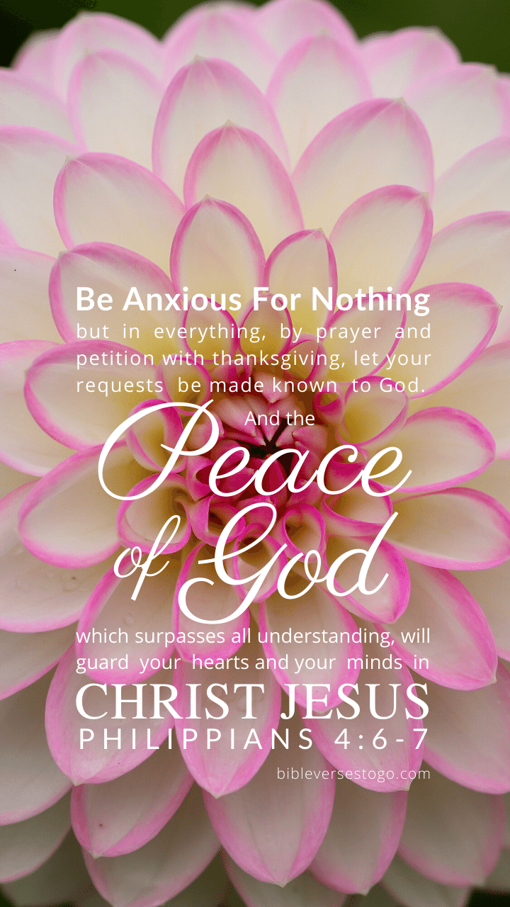 720x1280 Philippians 4:6 7 Bible Verse Wallpaper Verses To Go, Phone