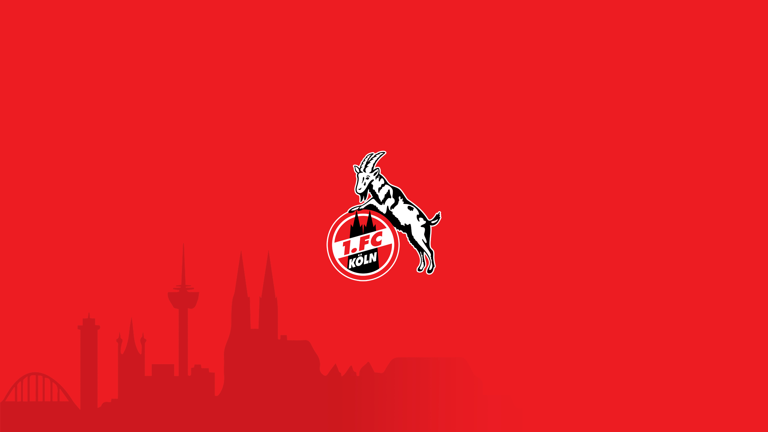 2560x1440 1. FC Köln HD Wallpaper, Desktop