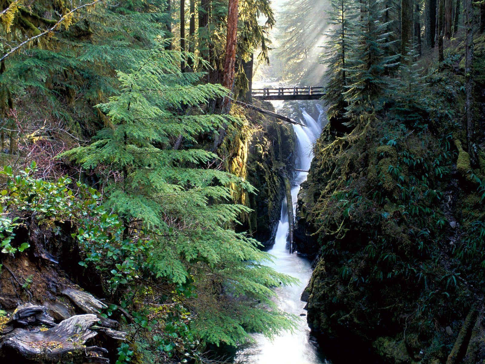 1600x1200 Bridge Over Sol Duc Falls Olympic National Park - Waterfall, Desktop