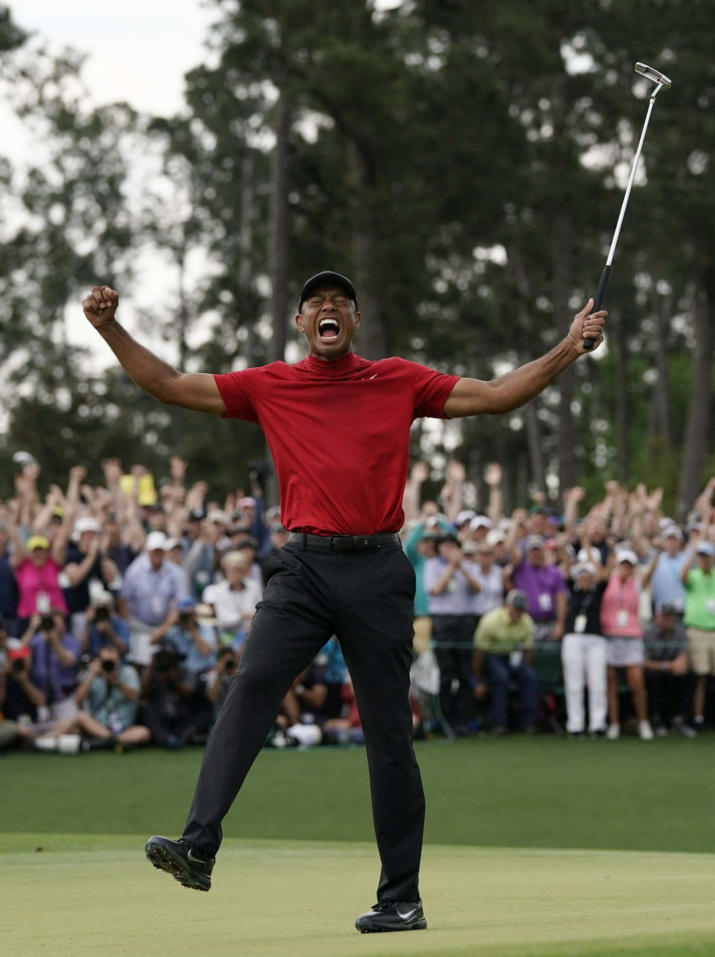 1440x1920 Download The Finally Look Of Tiger Woods iPhone Wallpaper, Phone