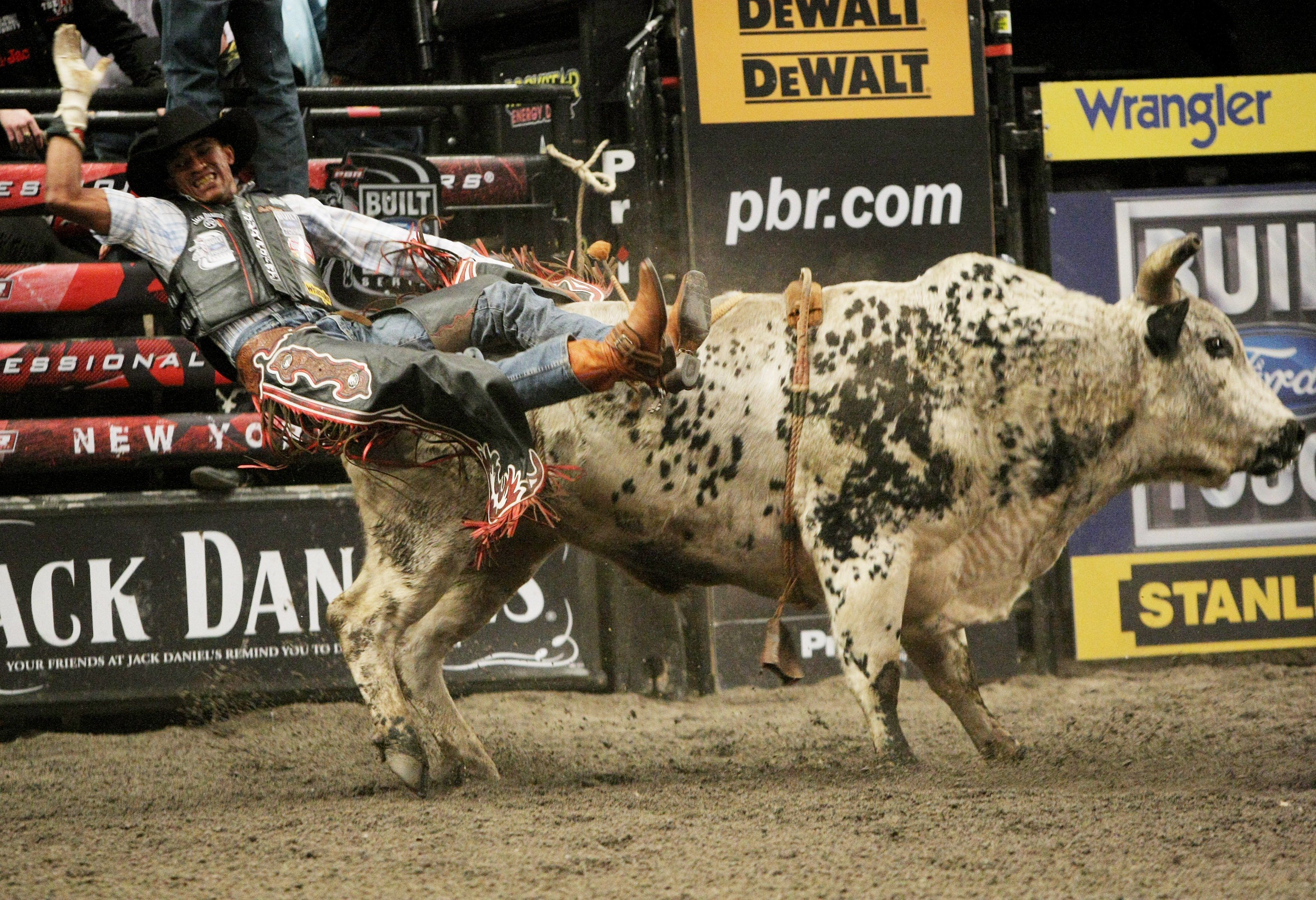 3500x2400 Bull riding bullrider rodeo western cowboy extreme cow (1) wallpaper, Desktop