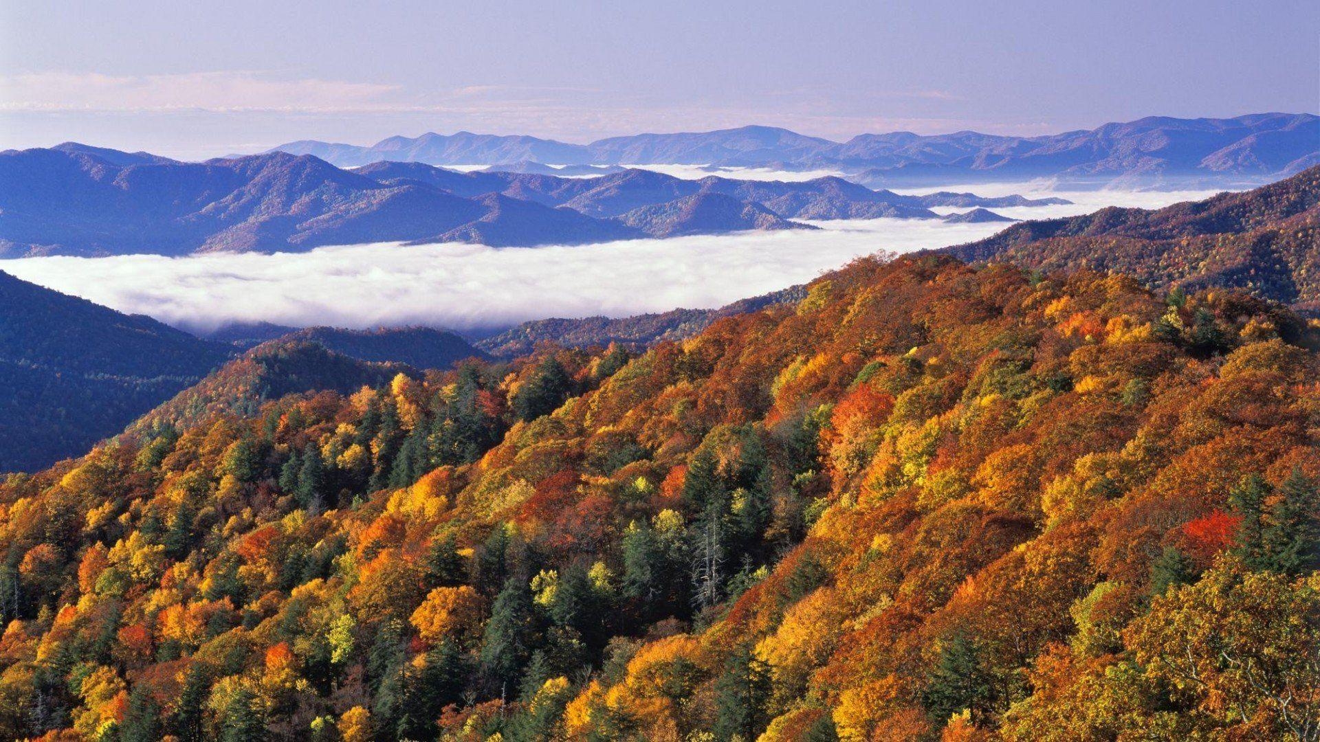 1920x1080 Great Smoky Mountains National Park 242425, Desktop