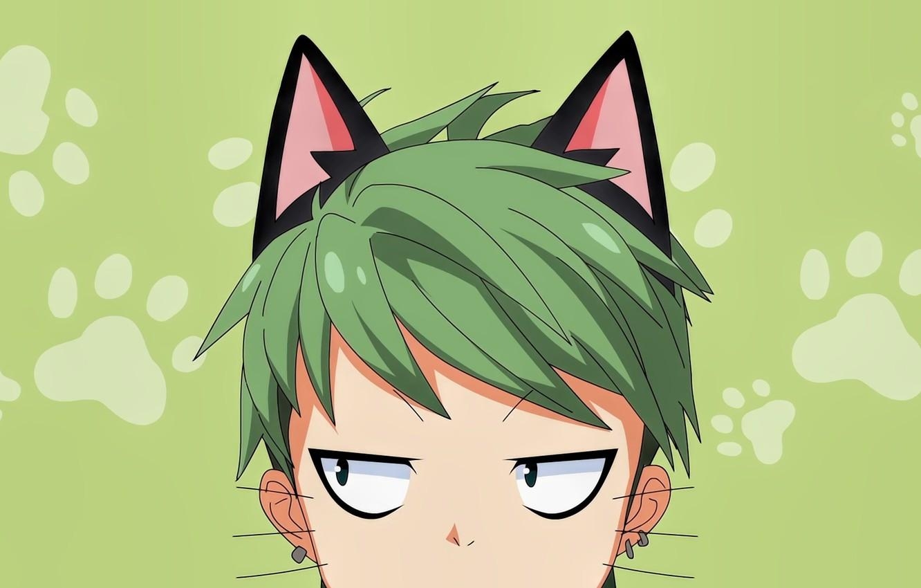 1340x850 Wallpaper green, anime, cat, boy, face, manga, head, japanese, by sanoboss, Nora to Oujo to Noraneko, nelo image for desktop, section сёдзё, Desktop