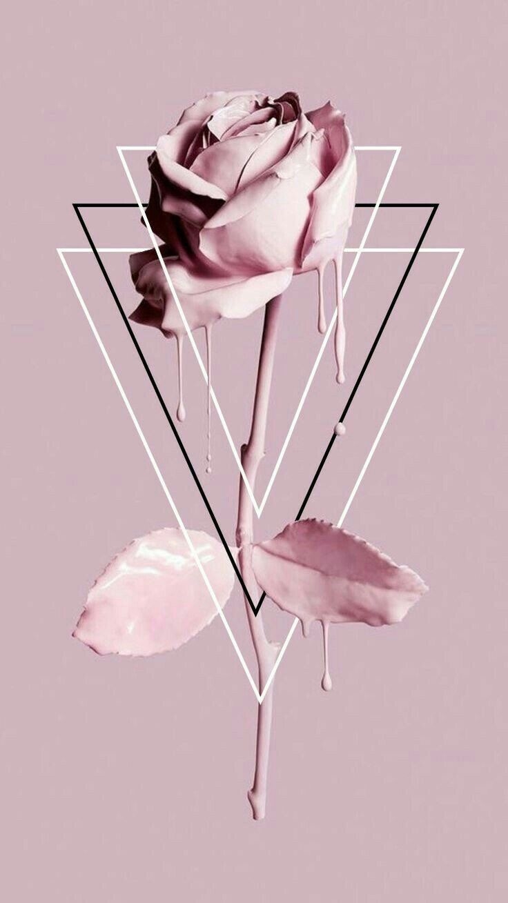 740x1310 Rose Wallpaper For Phone Aesthetic, Phone