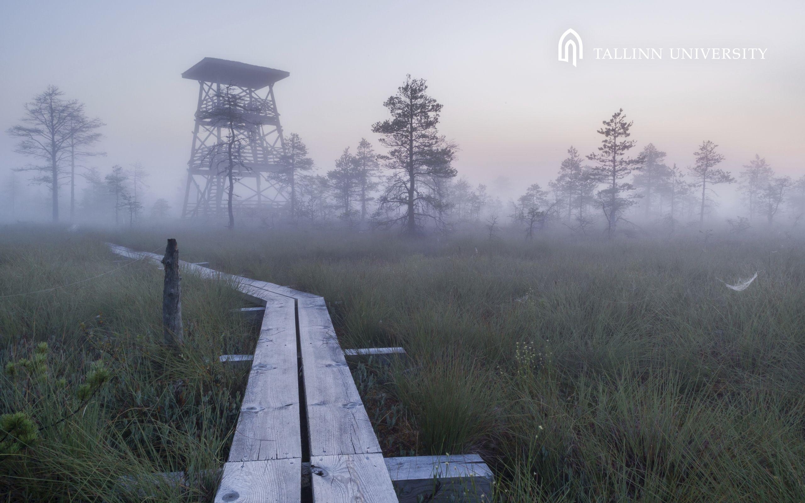 2560x1600 Estonia in Picture / Tallinn University, Desktop