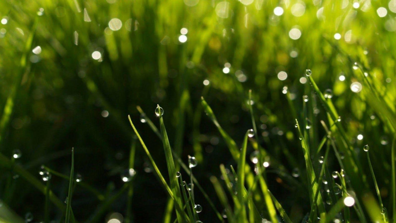 1600x900 HD Wallpaper (Wallpaper Inbox): Rain Drops Wallpaper, Desktop