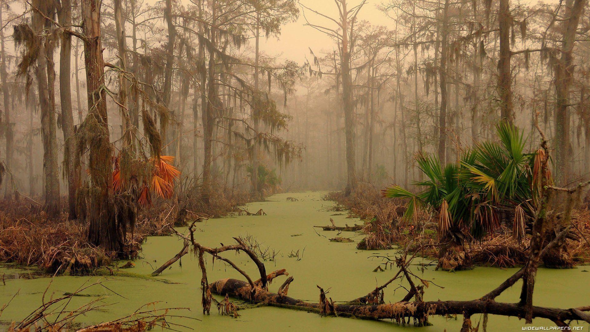 1920x1080 Louisiana Wallpaper, Desktop