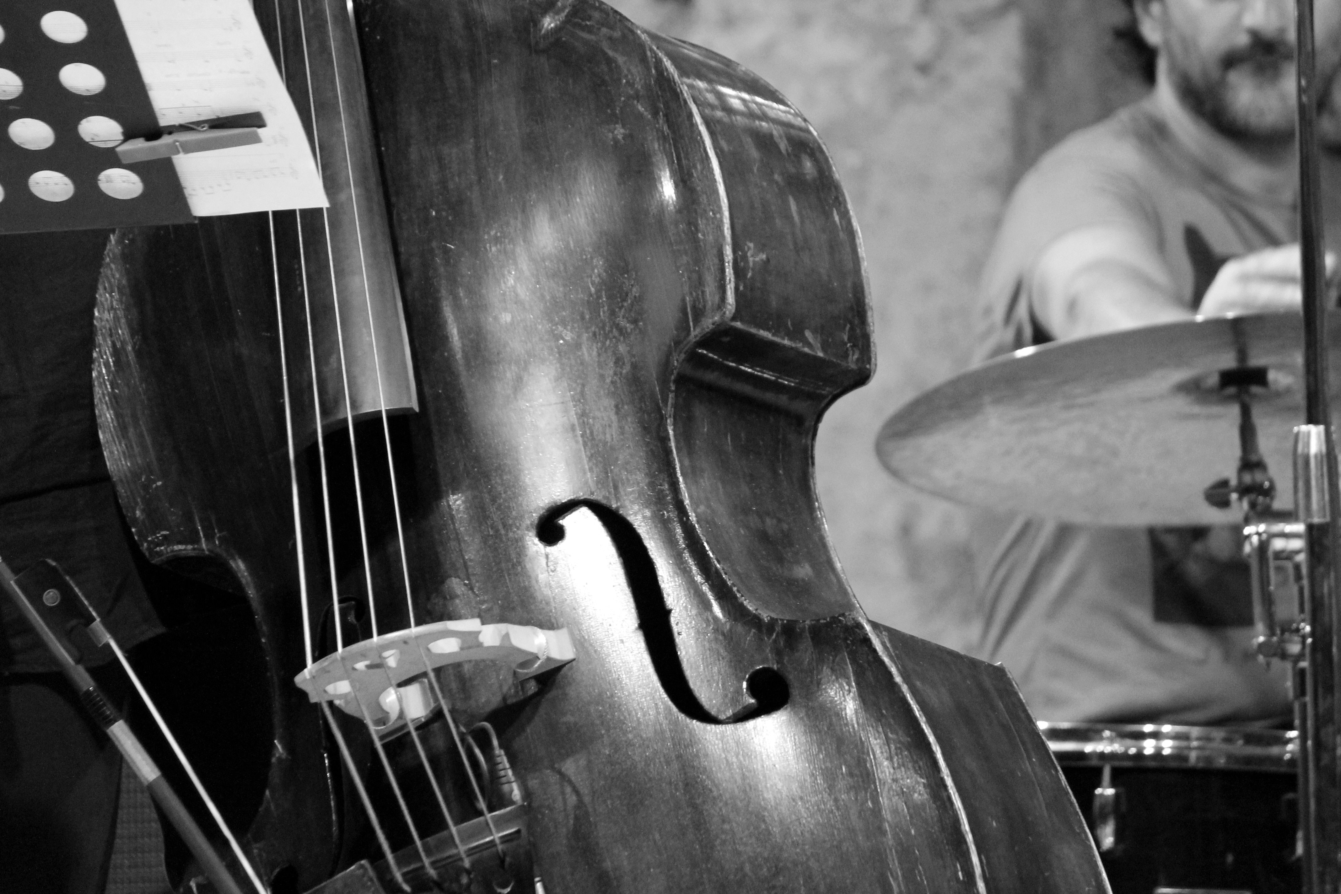 4280x2850 brown double bass free image, Desktop