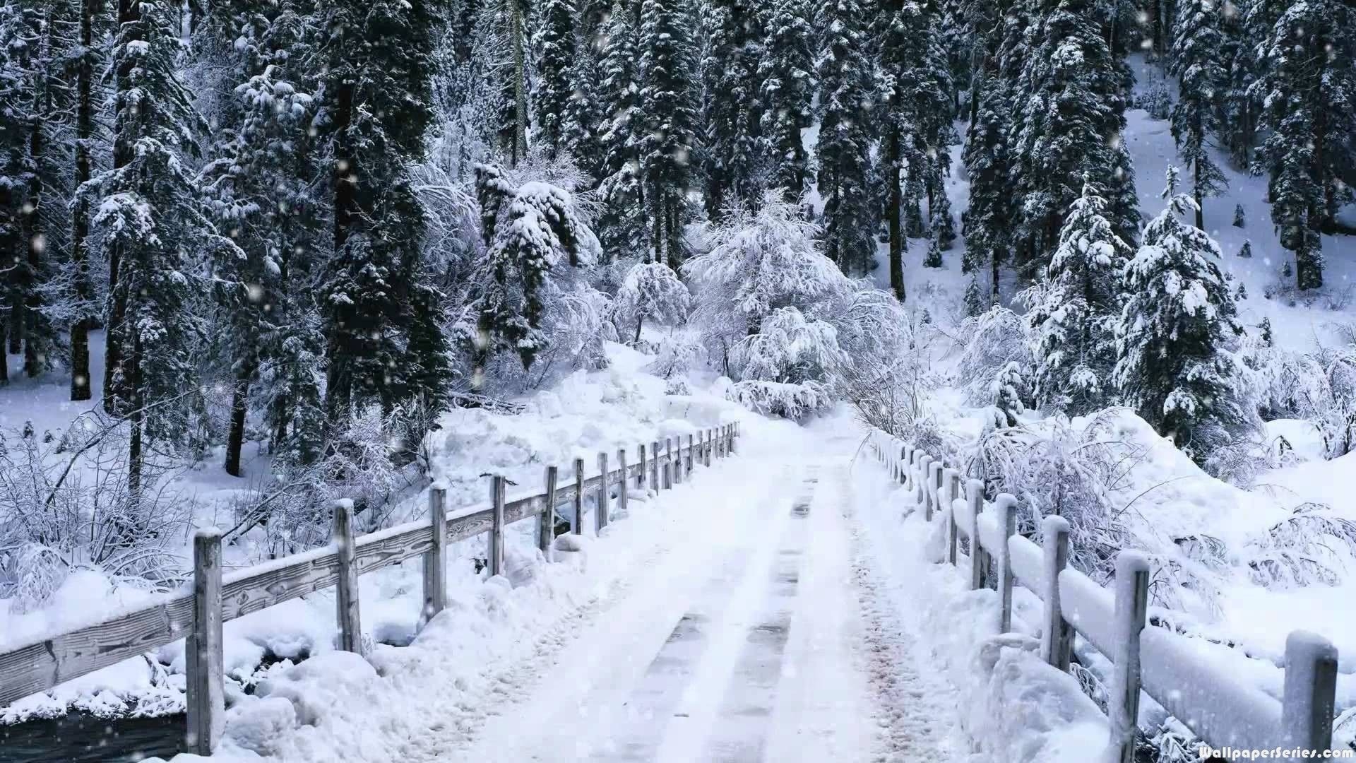 1920x1080 Christmas Wallpaper Snow Falling, Desktop