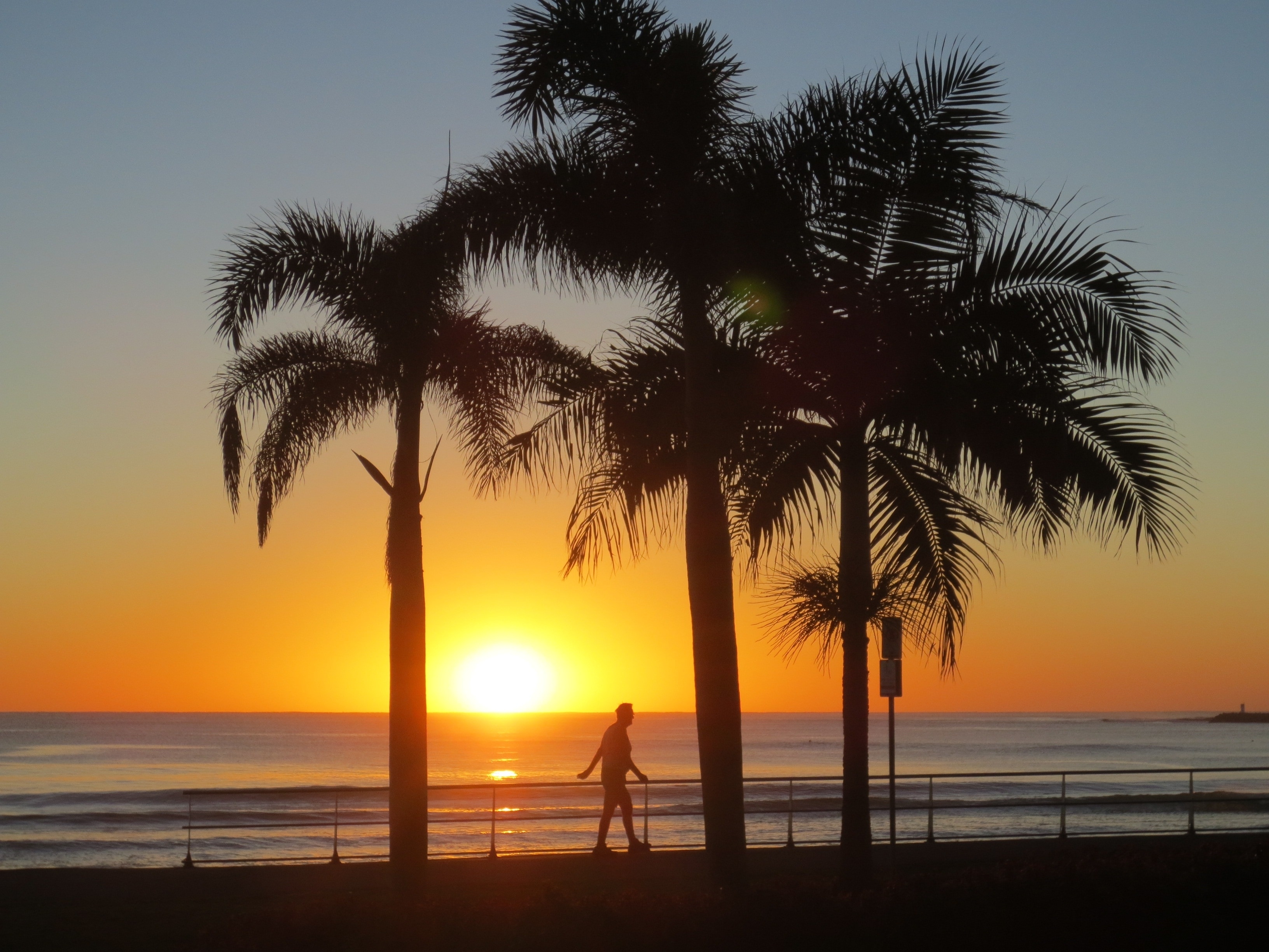 3270x2450 Sunshine Coast, Sunrise, Australia, palm tree, sunset free image, Desktop