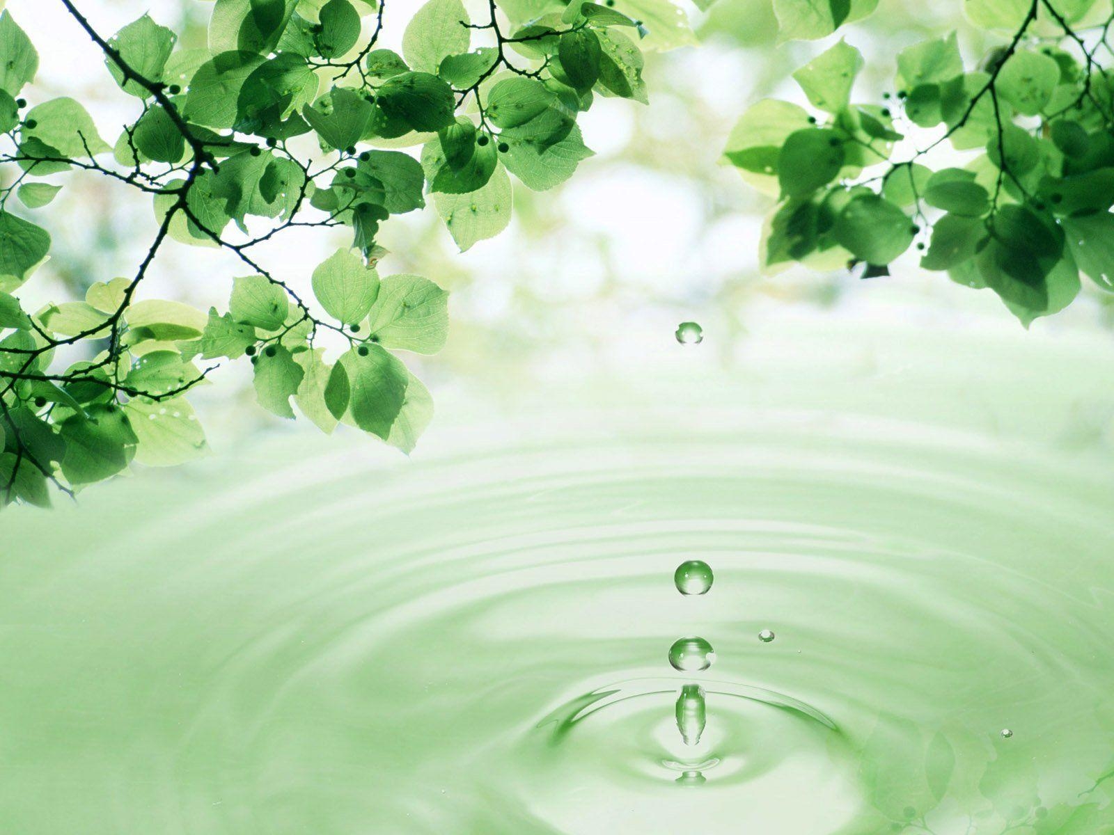 1600x1200 3D Leaves and Water Drop wallpaper, Desktop