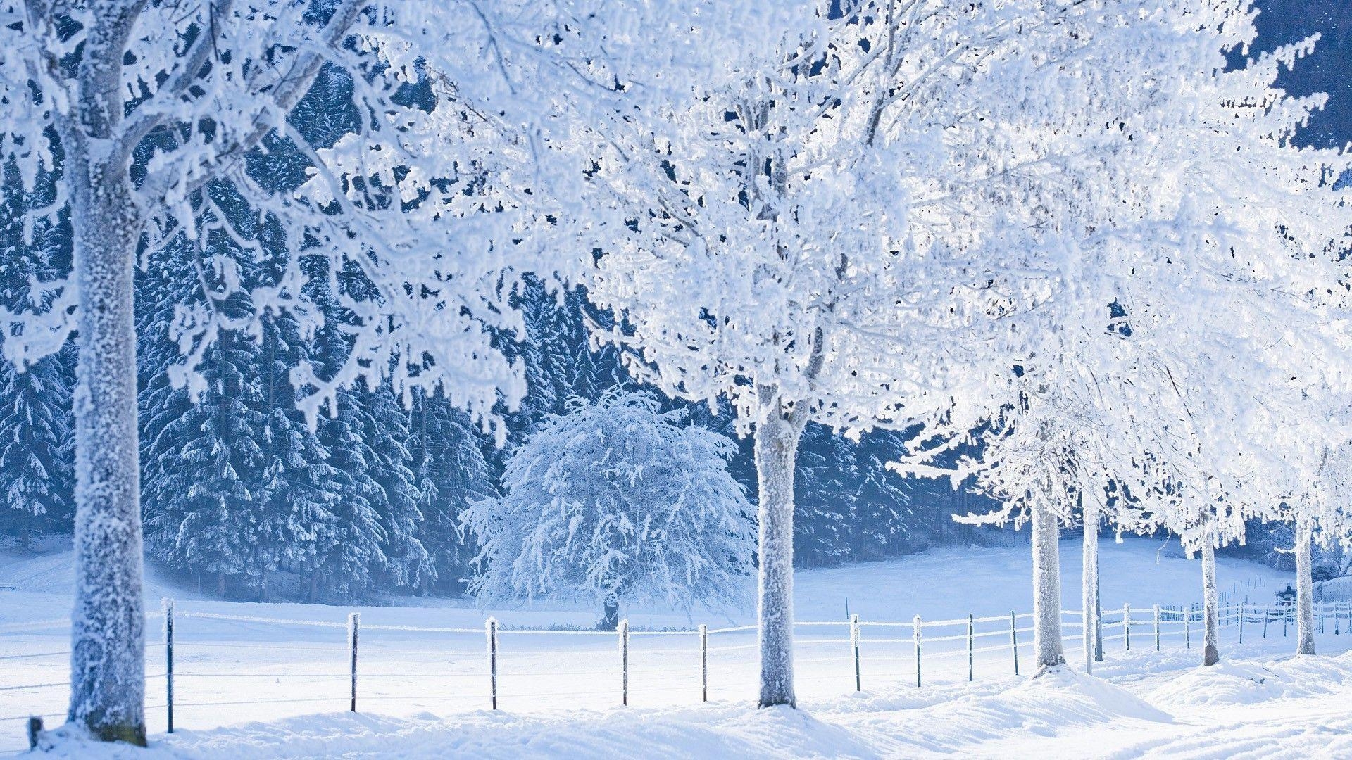 1920x1080 Real Snowy Background, wallpaper, Real Snowy Background HD, Desktop