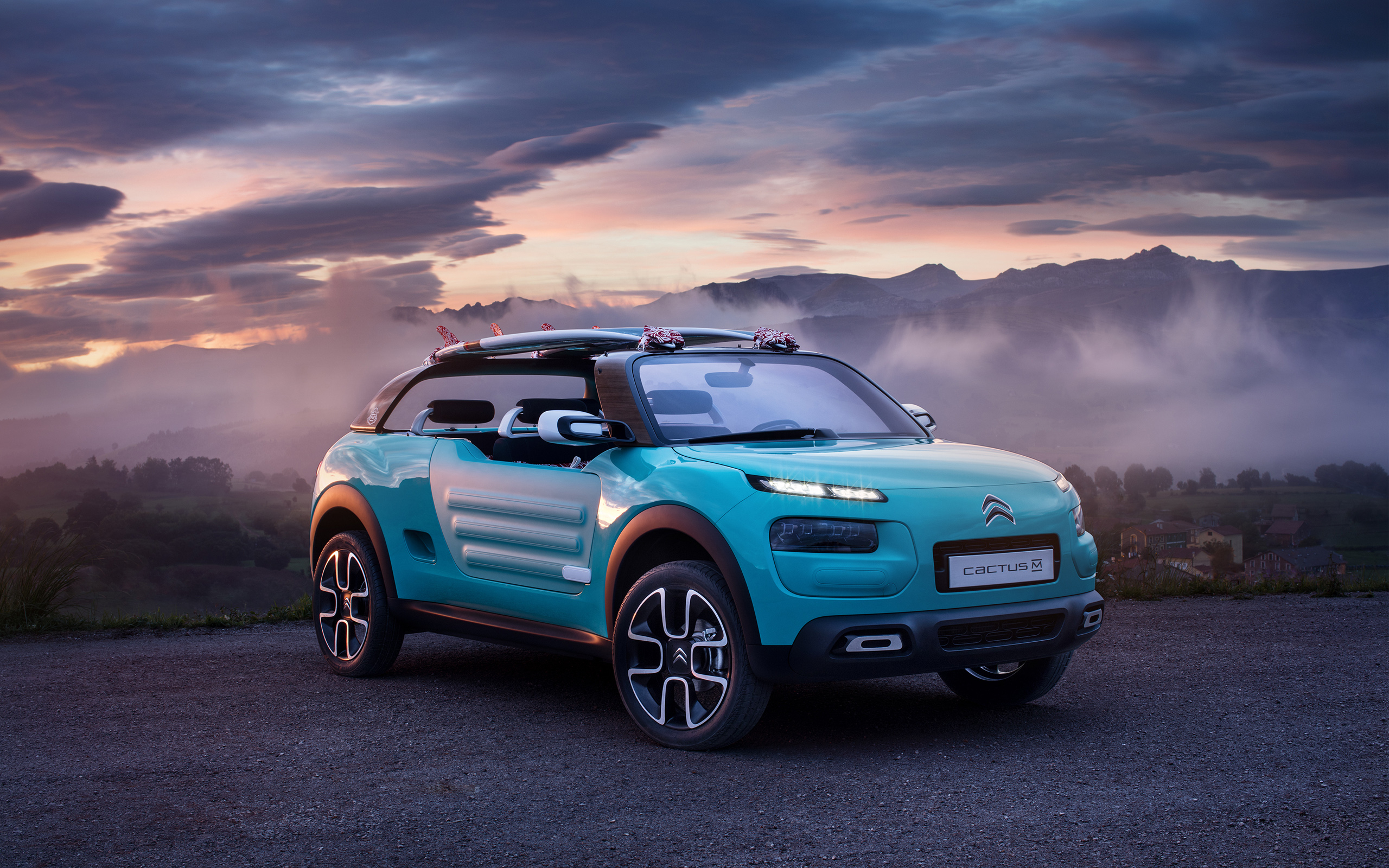 2560x1600 Citroen Cactus Wallpaper 4K (), Desktop