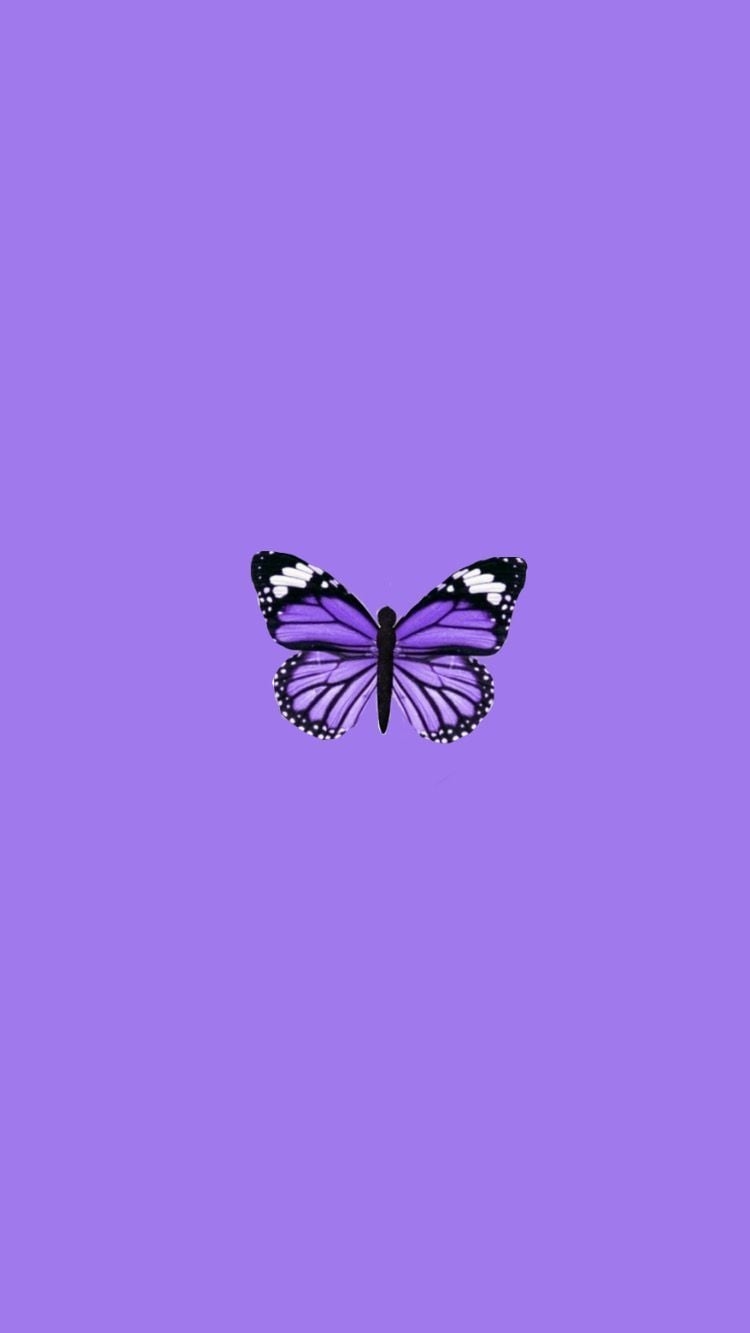 750x1340 butterfly #cutewallapaper #trendy #iphonebackground in 2020, Phone