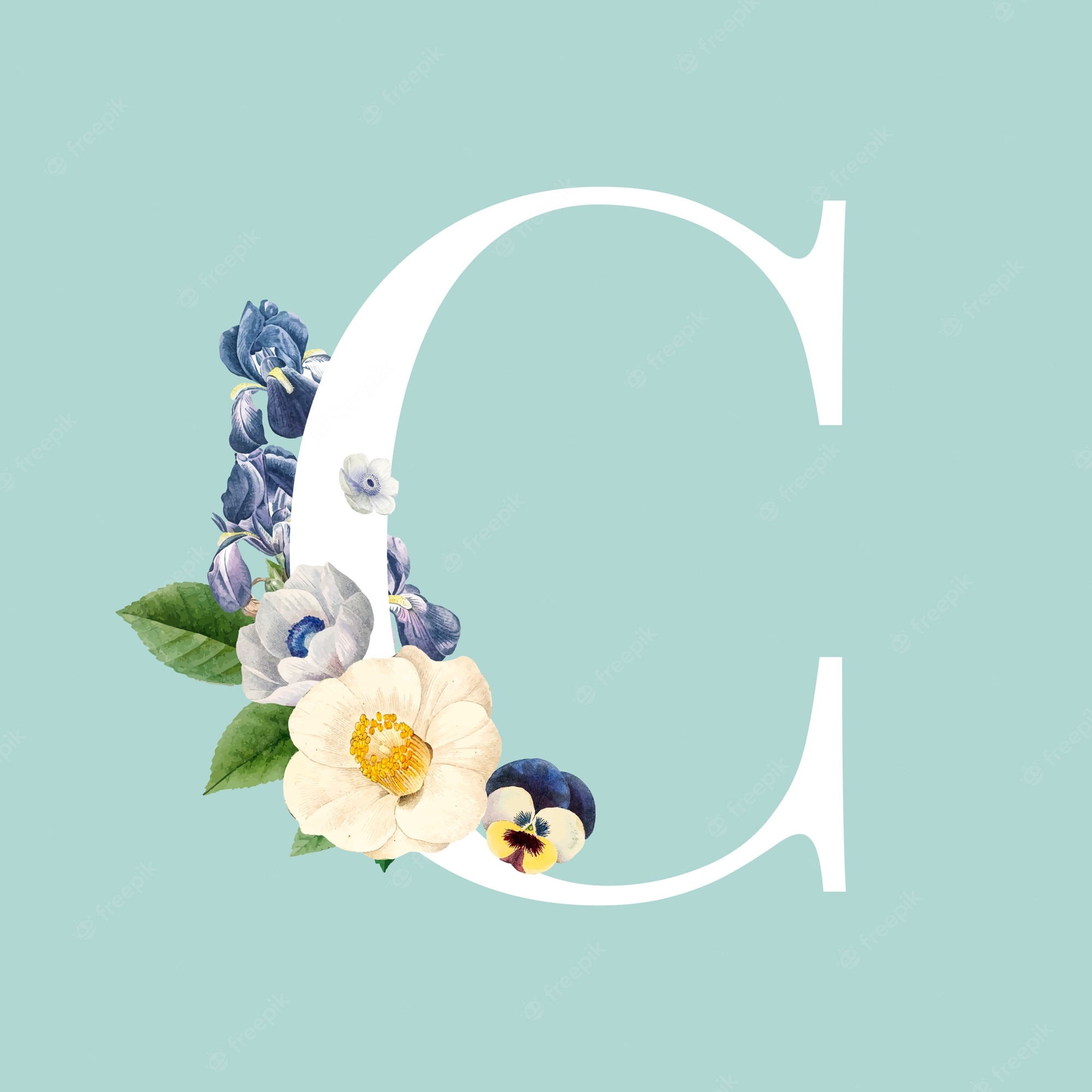 2000x2000 Letter C Image, Phone