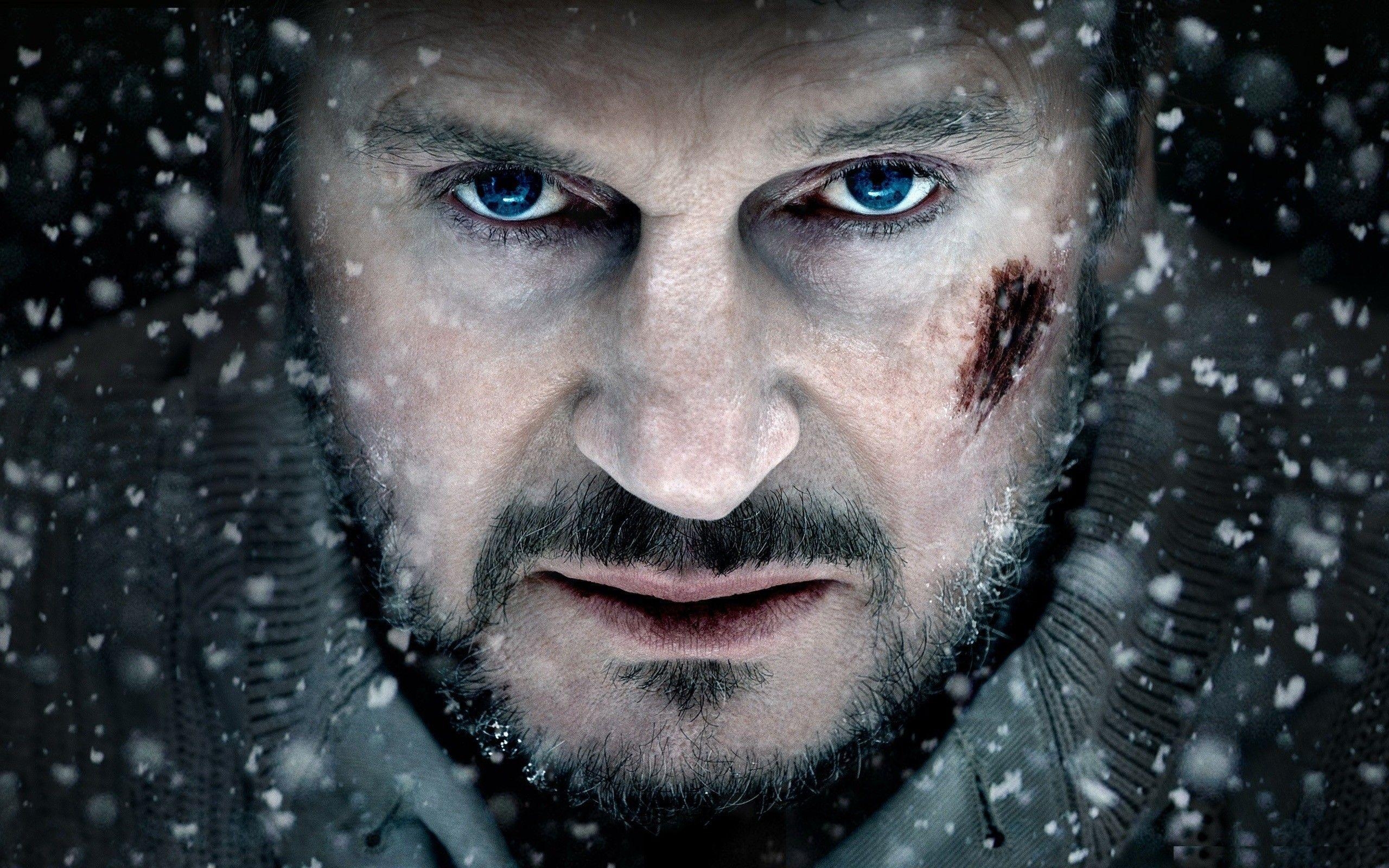 2560x1600 Liam Neeson HD Wallpaper, Desktop