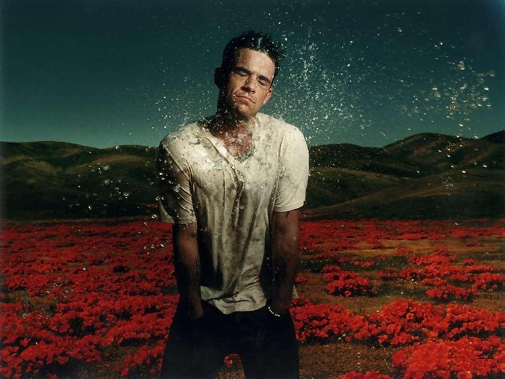 1030x770 Robbie Williams wallpaper, Desktop