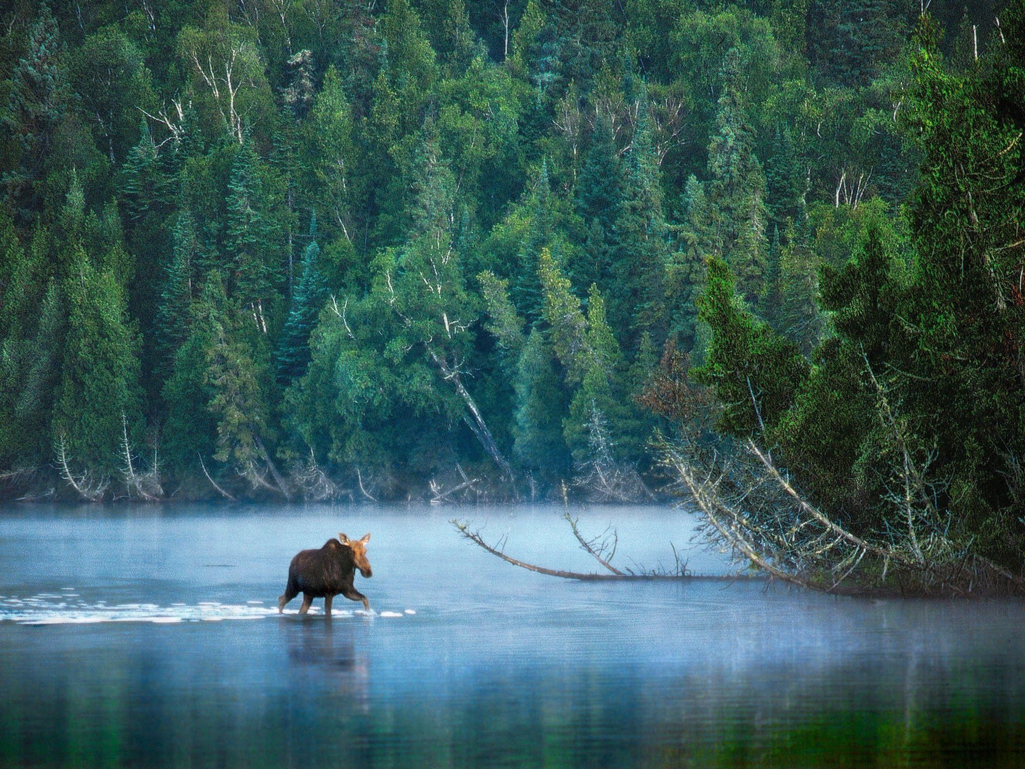 2050x1540 Isle Royale National Park Houghton, Michigané Nast Traveler, Desktop