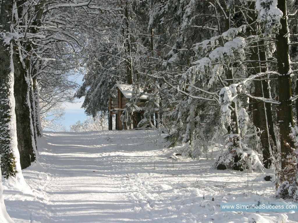 1030x770 Winter Wallpaper For Desktop Free, Desktop