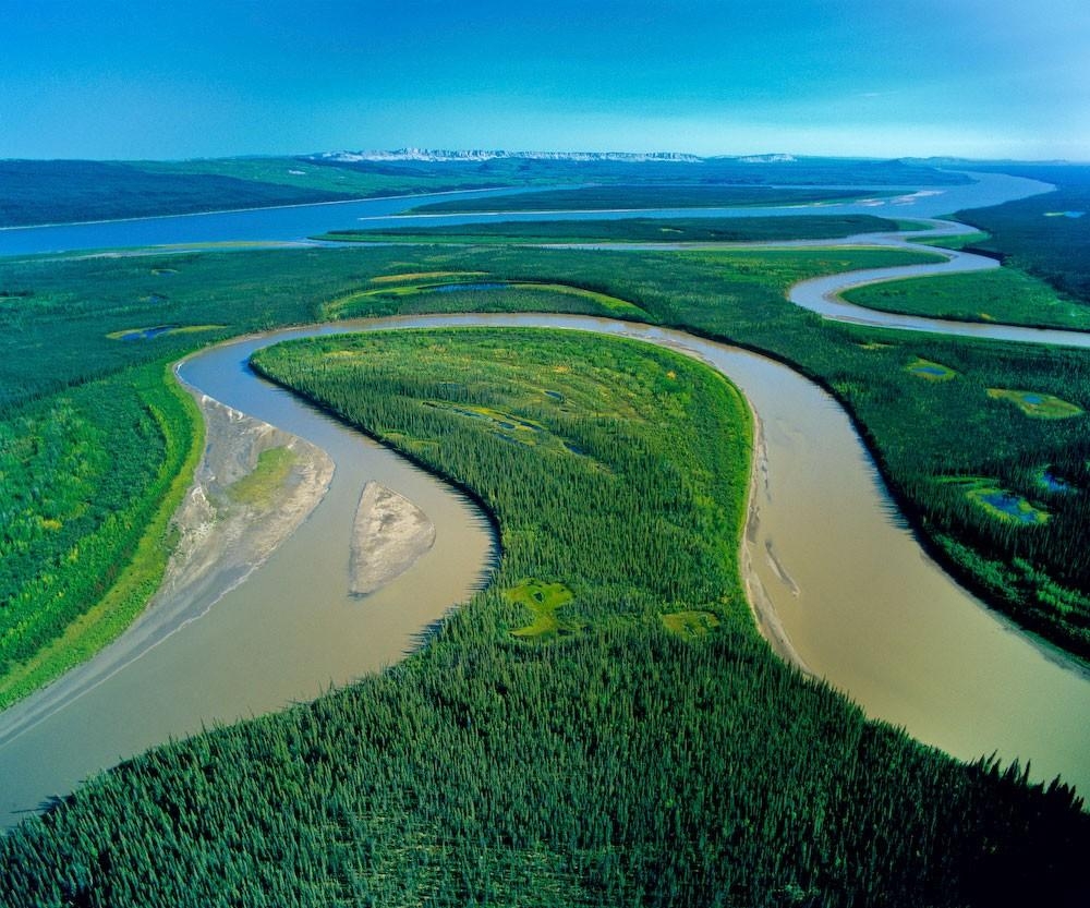 1000x840 Peru Amazon River Trees Wallpaper HD Free Nature Picture, Desktop