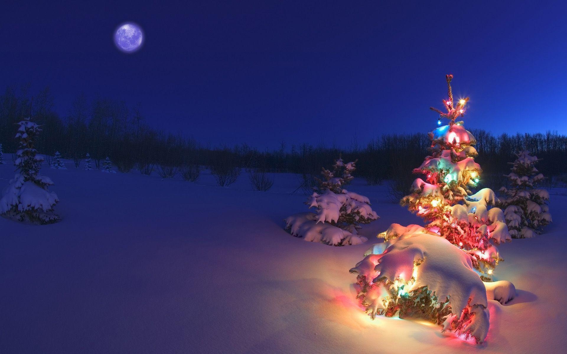 1920x1200 Snowy Christmas Night Wallpaper, Desktop