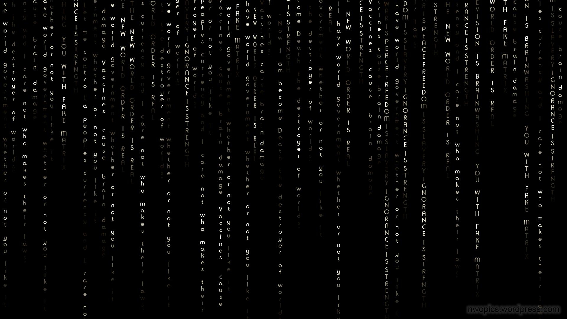 1920x1080 Group of Matrix Nwo Wallpaper Nwopics, Desktop