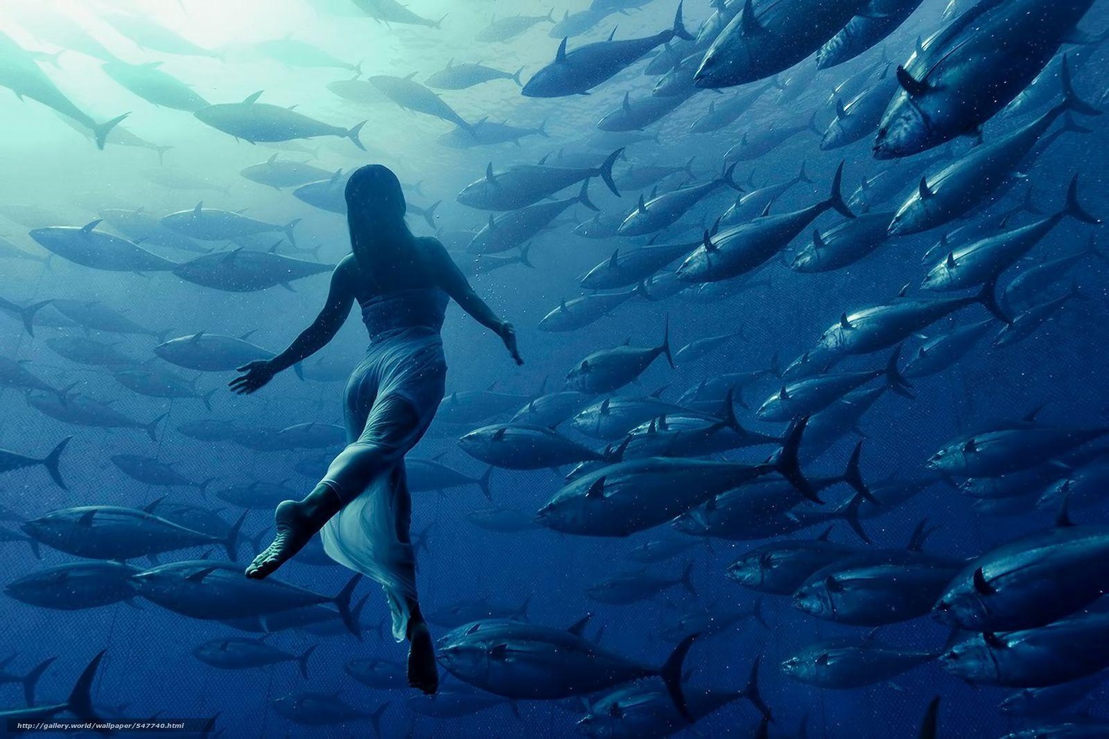 1600x1070 Download wallpaper girl, FISH, tuna, underwater free desktop, Desktop