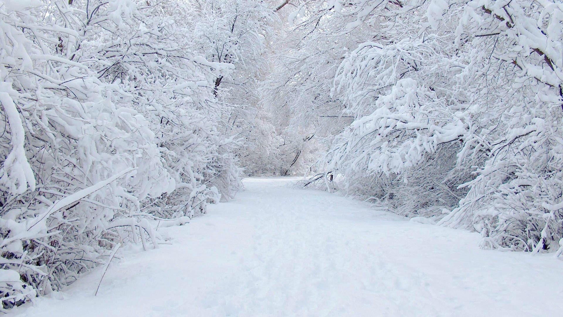 1920x1080 winter wonderland wallpaper desktop, Desktop